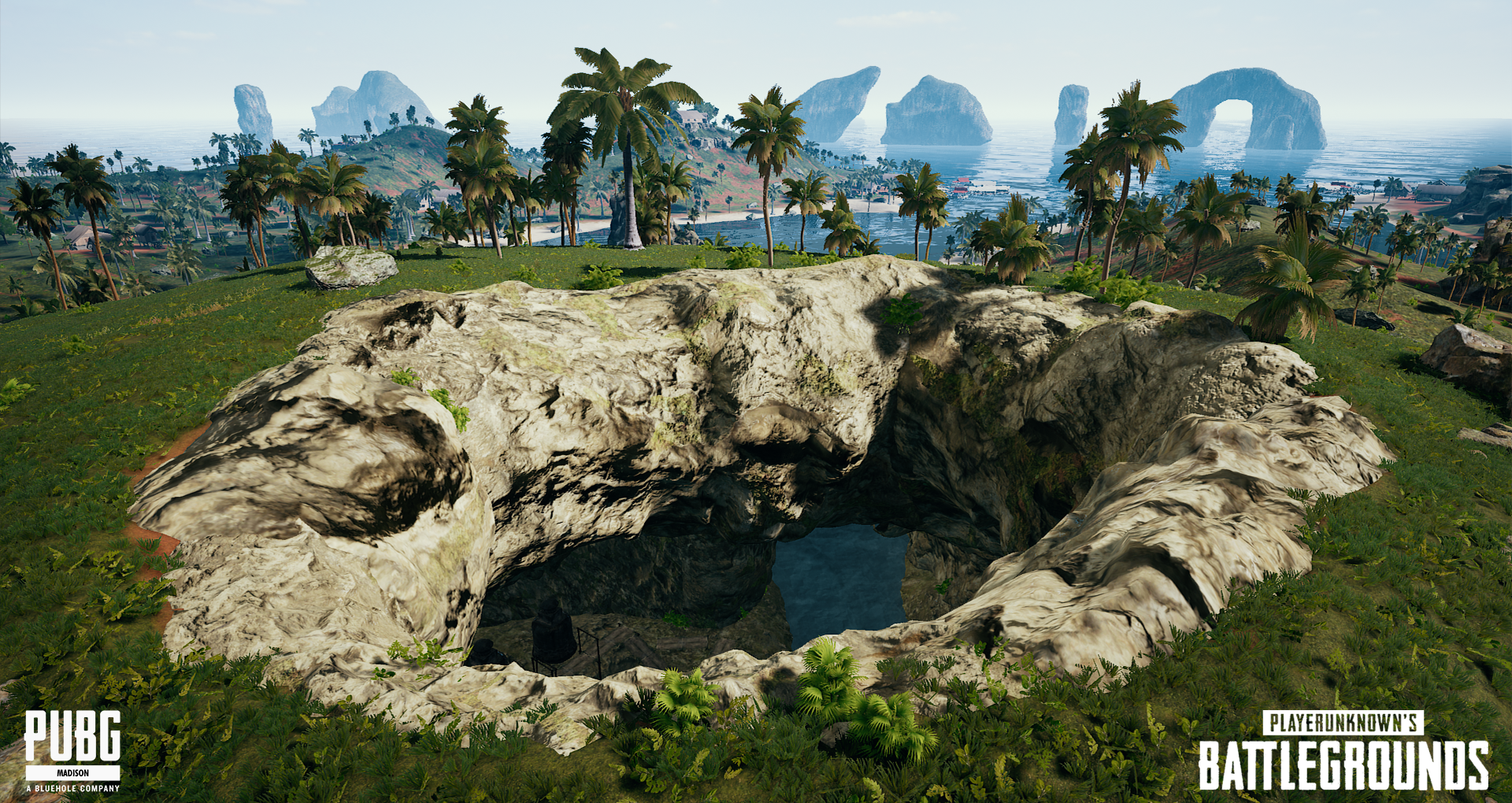 In-game landscape from PlayerUnknown's Battlegrounds featuring a large rocky formation with an opening revealing water below, surrounded by lush green grass, palm trees, and distant rocky islands across the ocean.