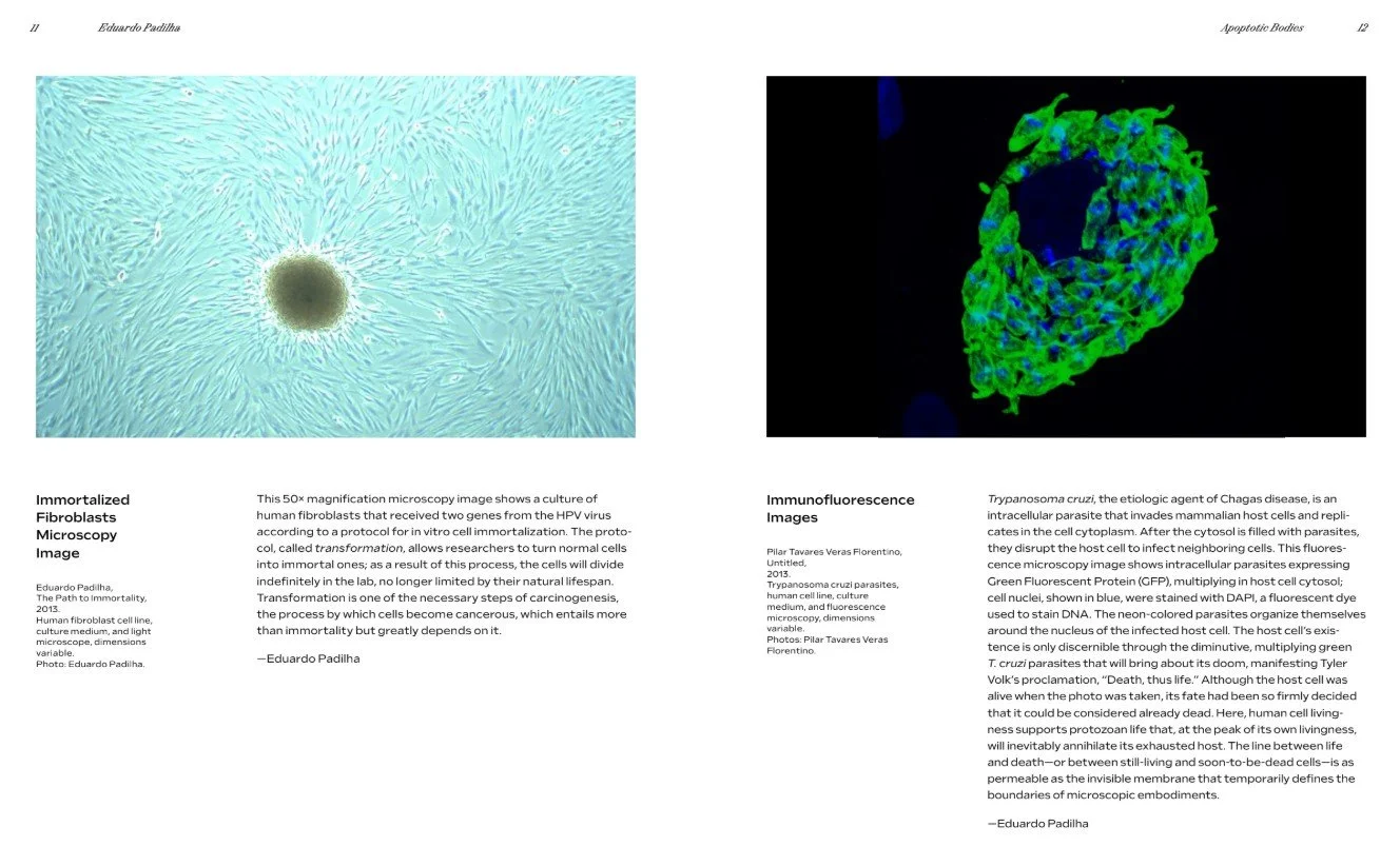 Screenshot 2026-04-22 083329.jpg