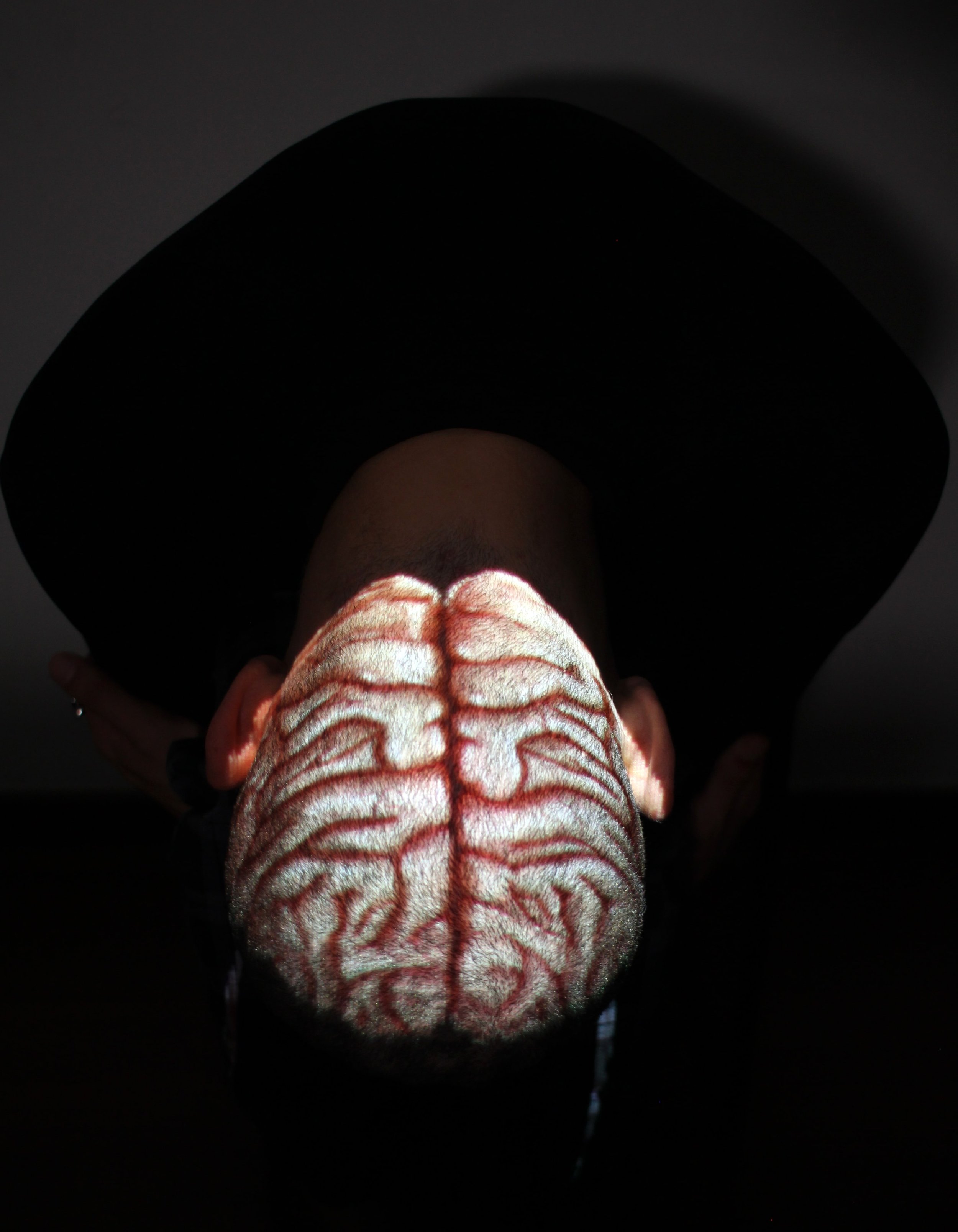 Anatomical Board 4 Projected brain on head.jpg