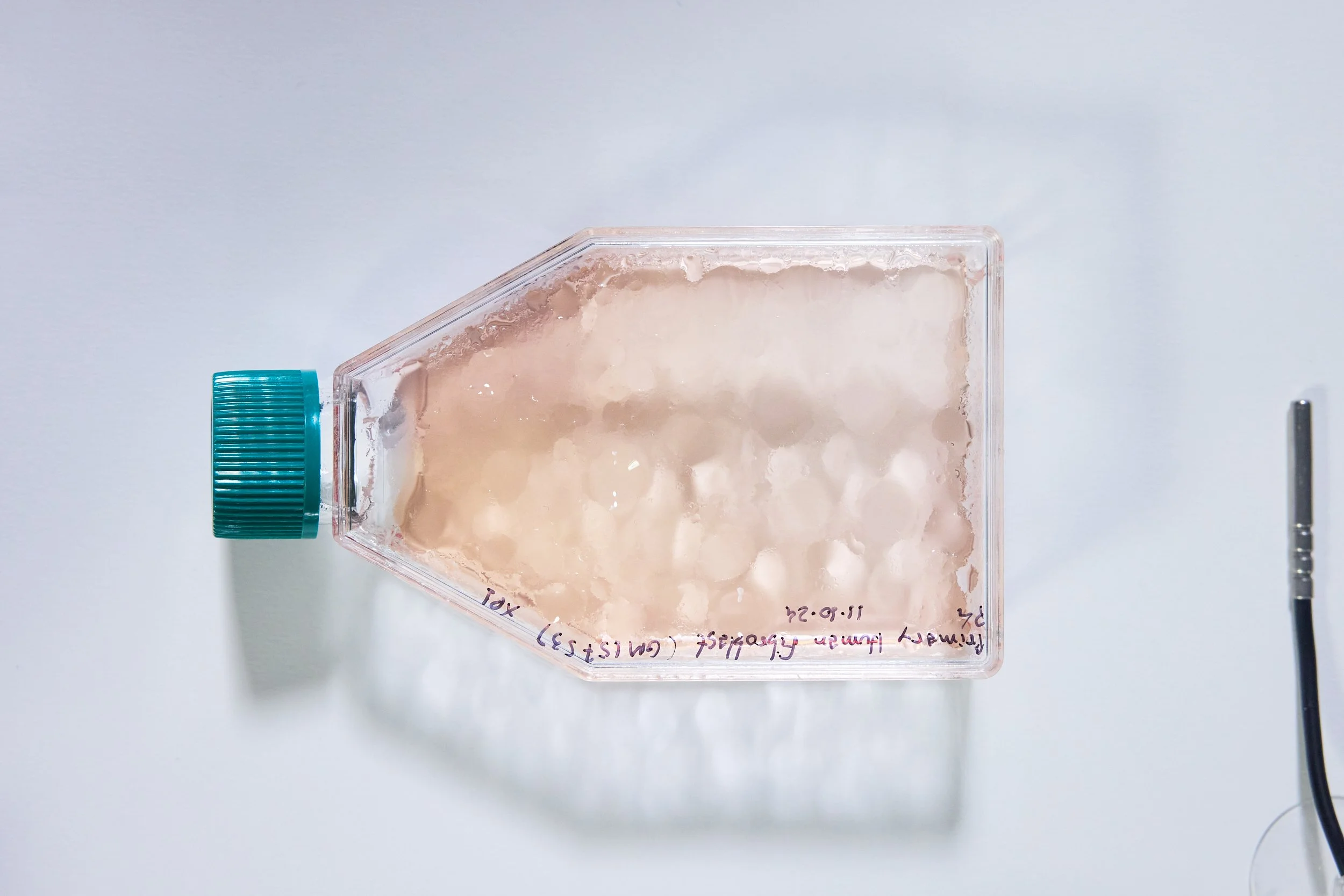 Emergence Art from Life_©CarsonDavisBrown_Fathomers_PST_0123 1.jpg