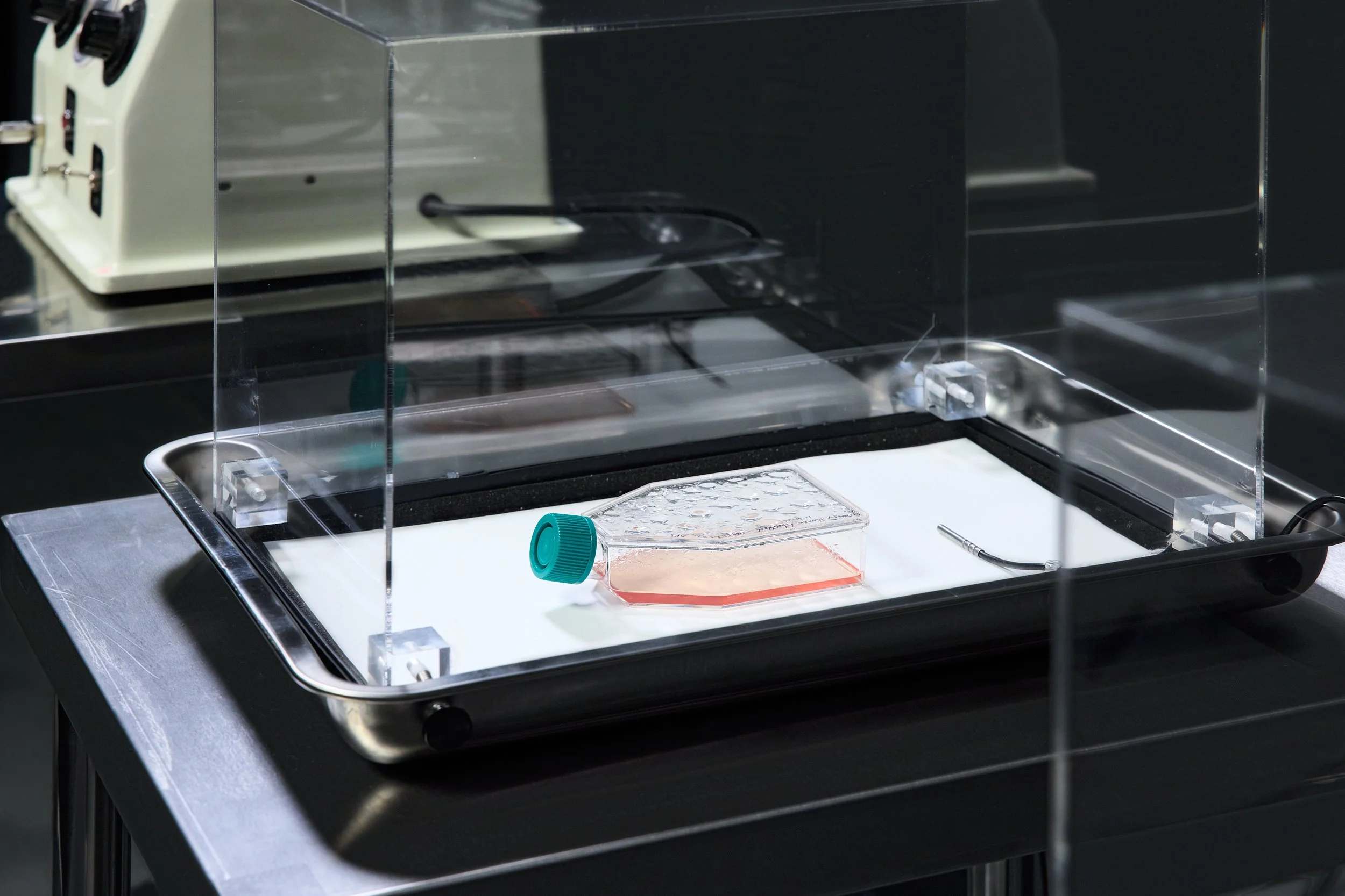 Emergence Art from Life_©CarsonDavisBrown_Fathomers_PST_0095 1.jpg