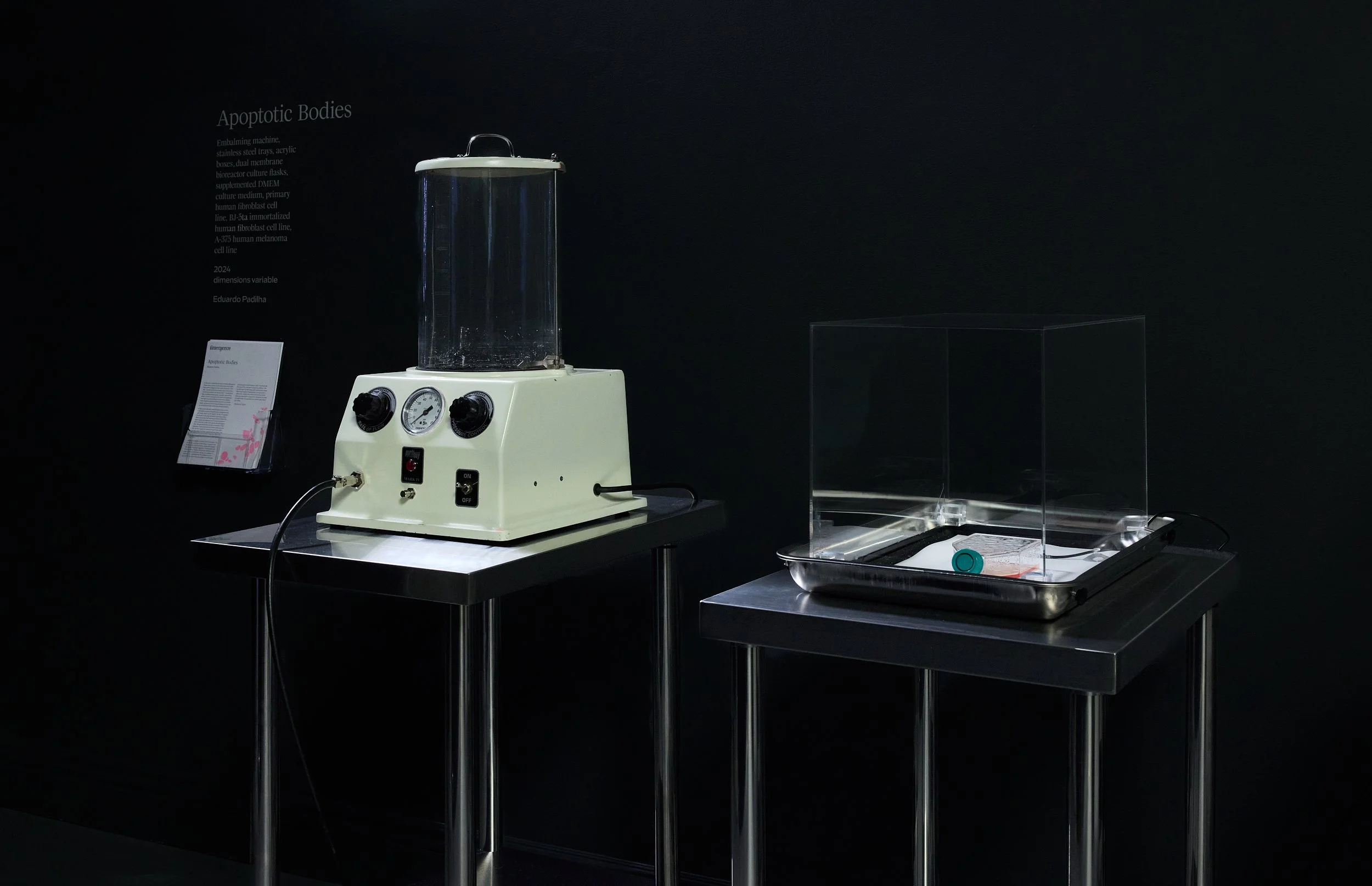 Emergence Art from Life_©CarsonDavisBrown_Fathomers_PST_0106 1.jpg