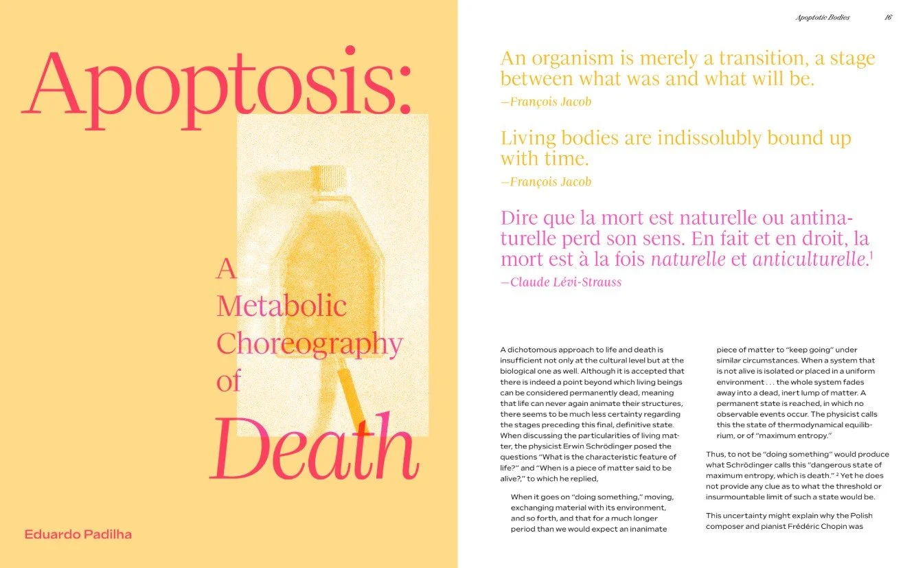 Screenshot 2026-04-22 083131.jpg