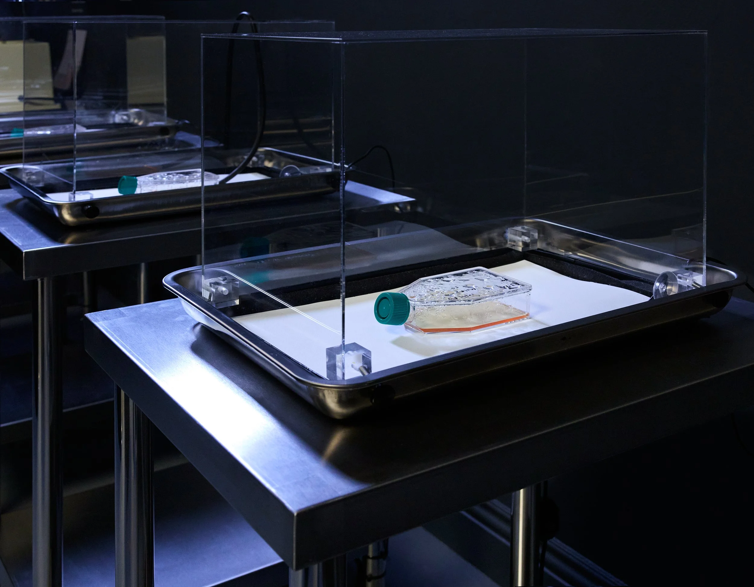 Emergence Art from Life_©CarsonDavisBrown_Fathomers_PST_0025 1.jpg