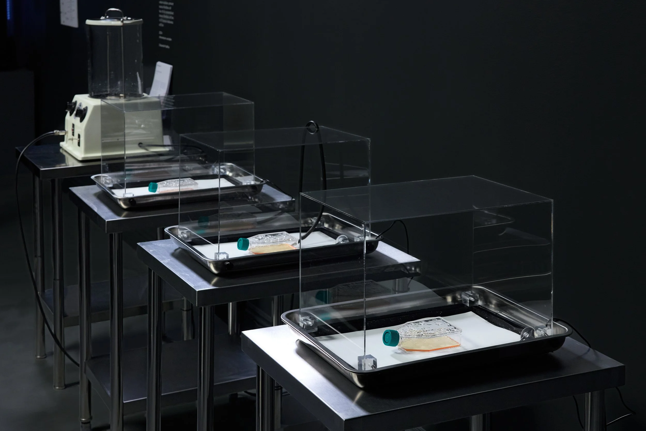 Emergence Art from Life_©CarsonDavisBrown_Fathomers_PST_0085 1.jpg