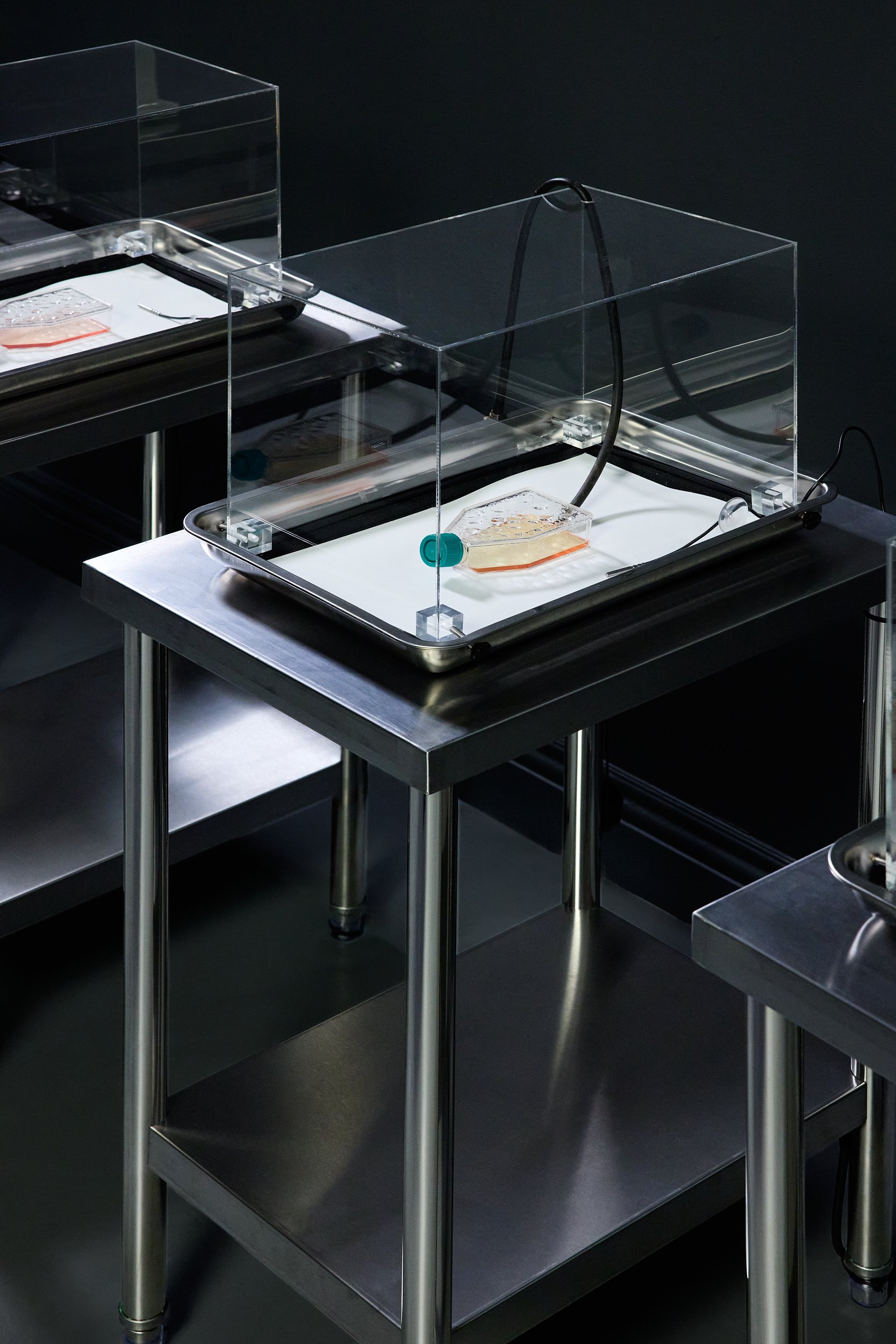 Emergence Art from Life_©CarsonDavisBrown_Fathomers_PST_0137 1.jpg