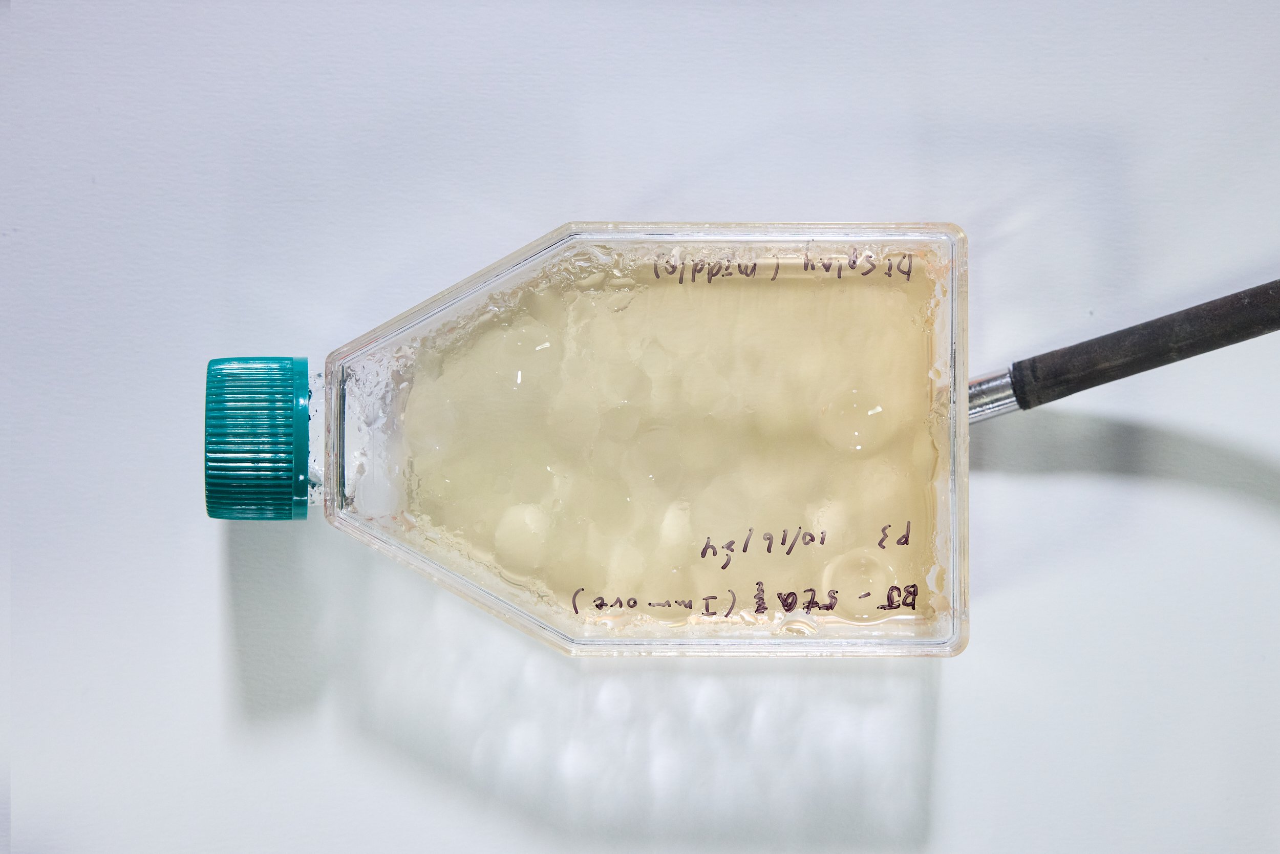 Emergence Art from Life_©CarsonDavisBrown_Fathomers_PST_0125 1.jpg