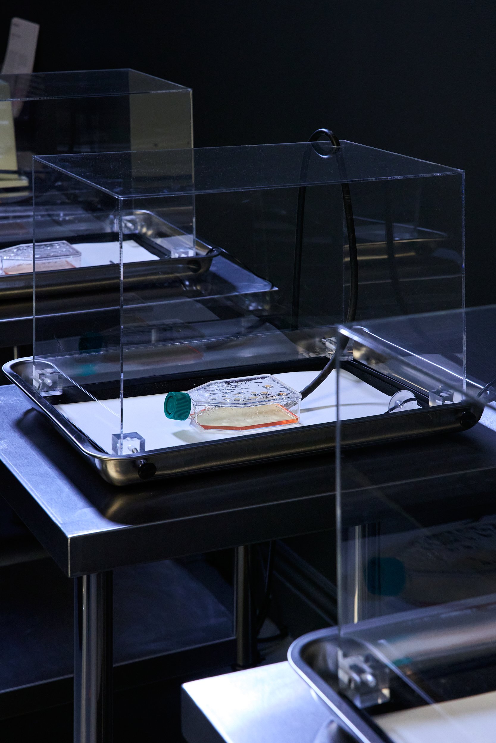 Emergence Art from Life_©CarsonDavisBrown_Fathomers_PST_0036 1.jpg