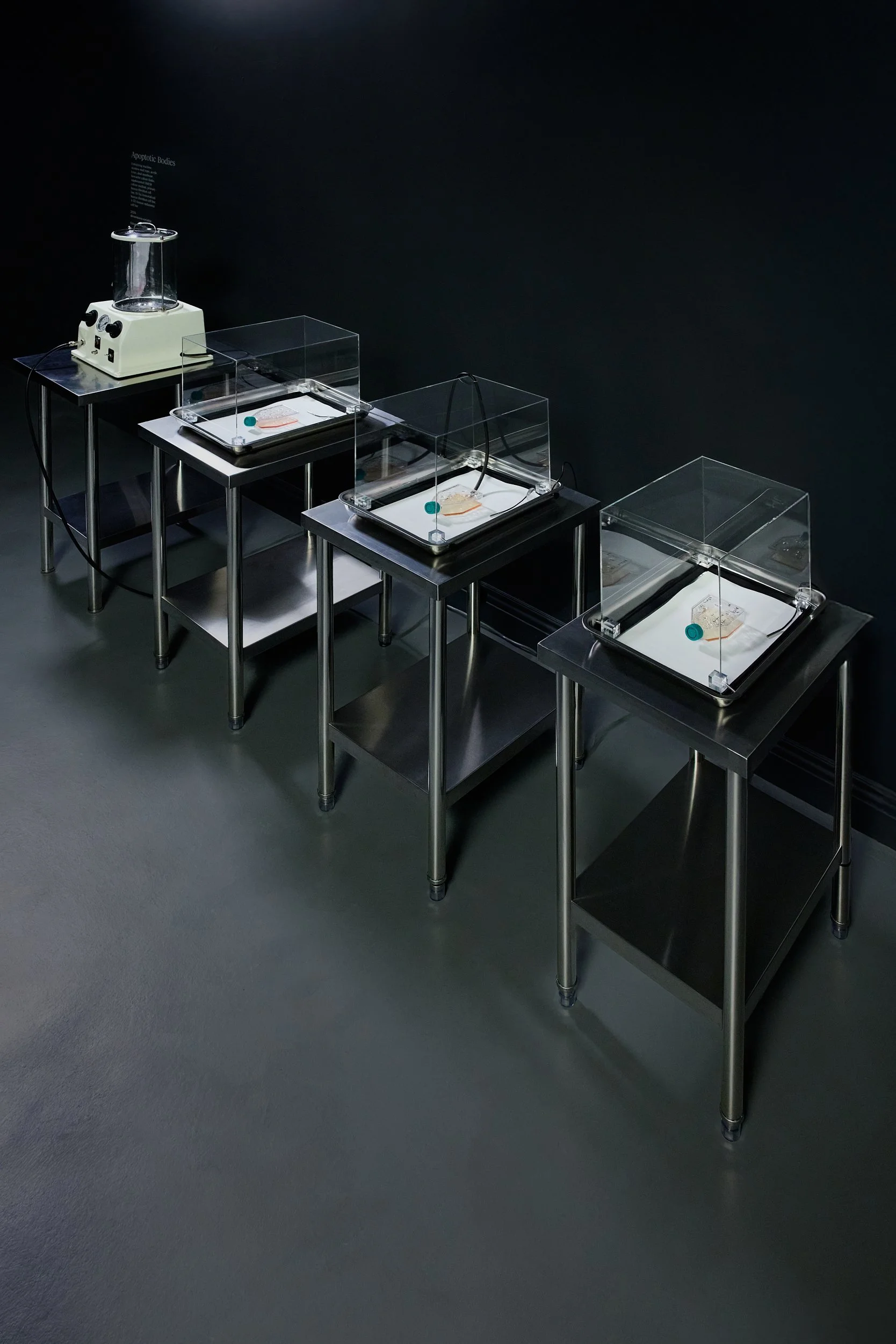 Emergence Art from Life_©CarsonDavisBrown_Fathomers_PST_0134 1.jpg