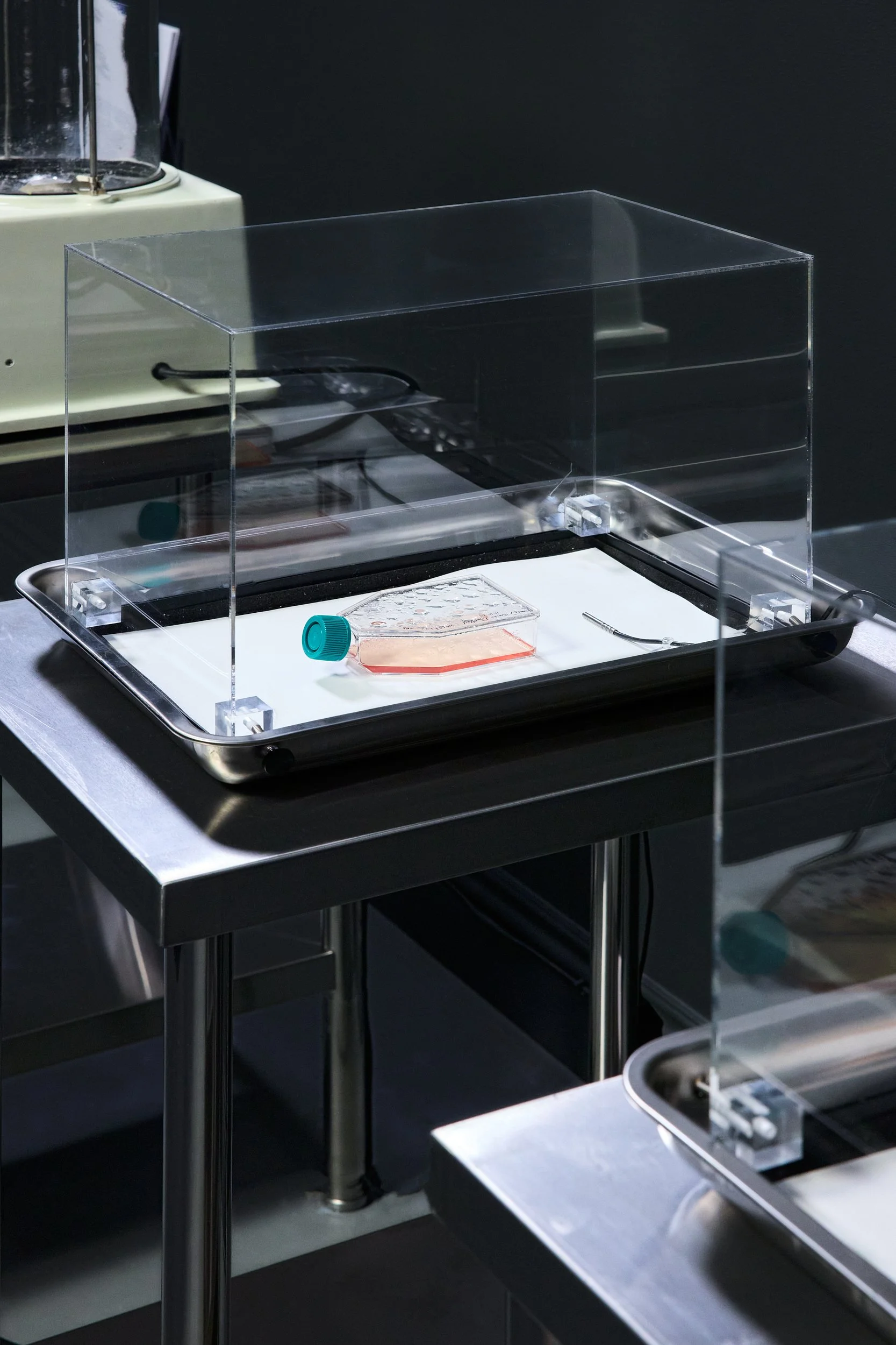 Emergence Art from Life_©CarsonDavisBrown_Fathomers_PST_0065 1.jpg