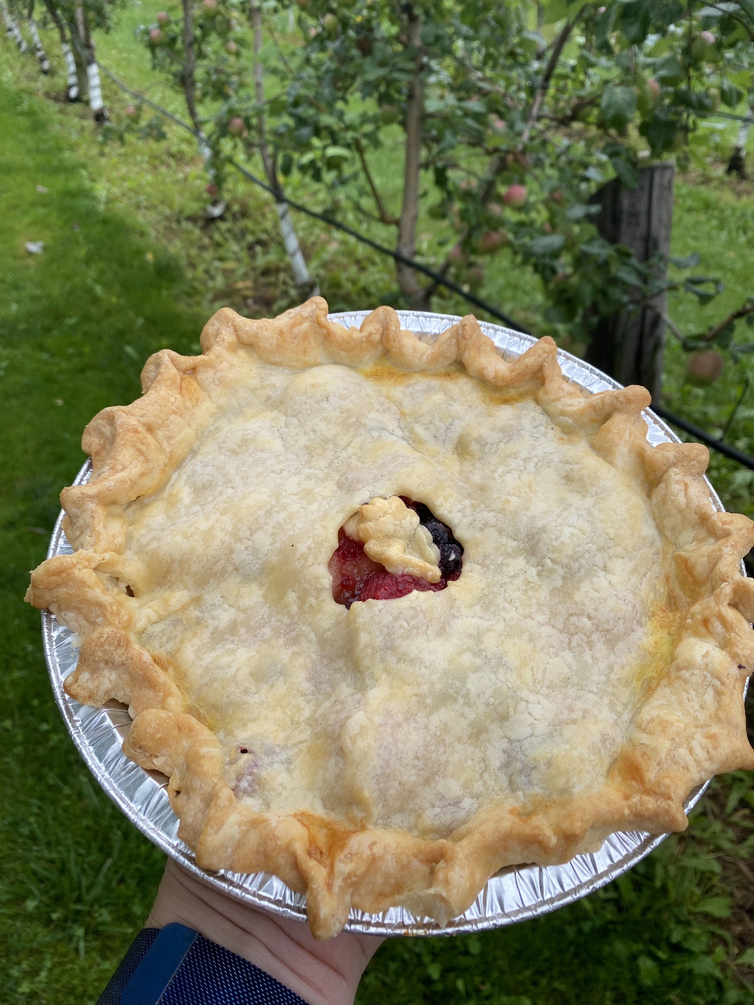 Bumbleberry pie