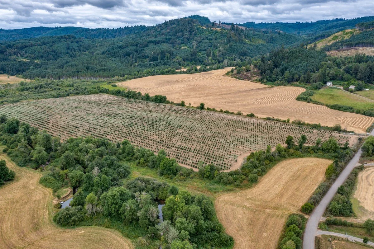 Lots, Land & Farms — The Kelly Group Real Estate Newberg, OR