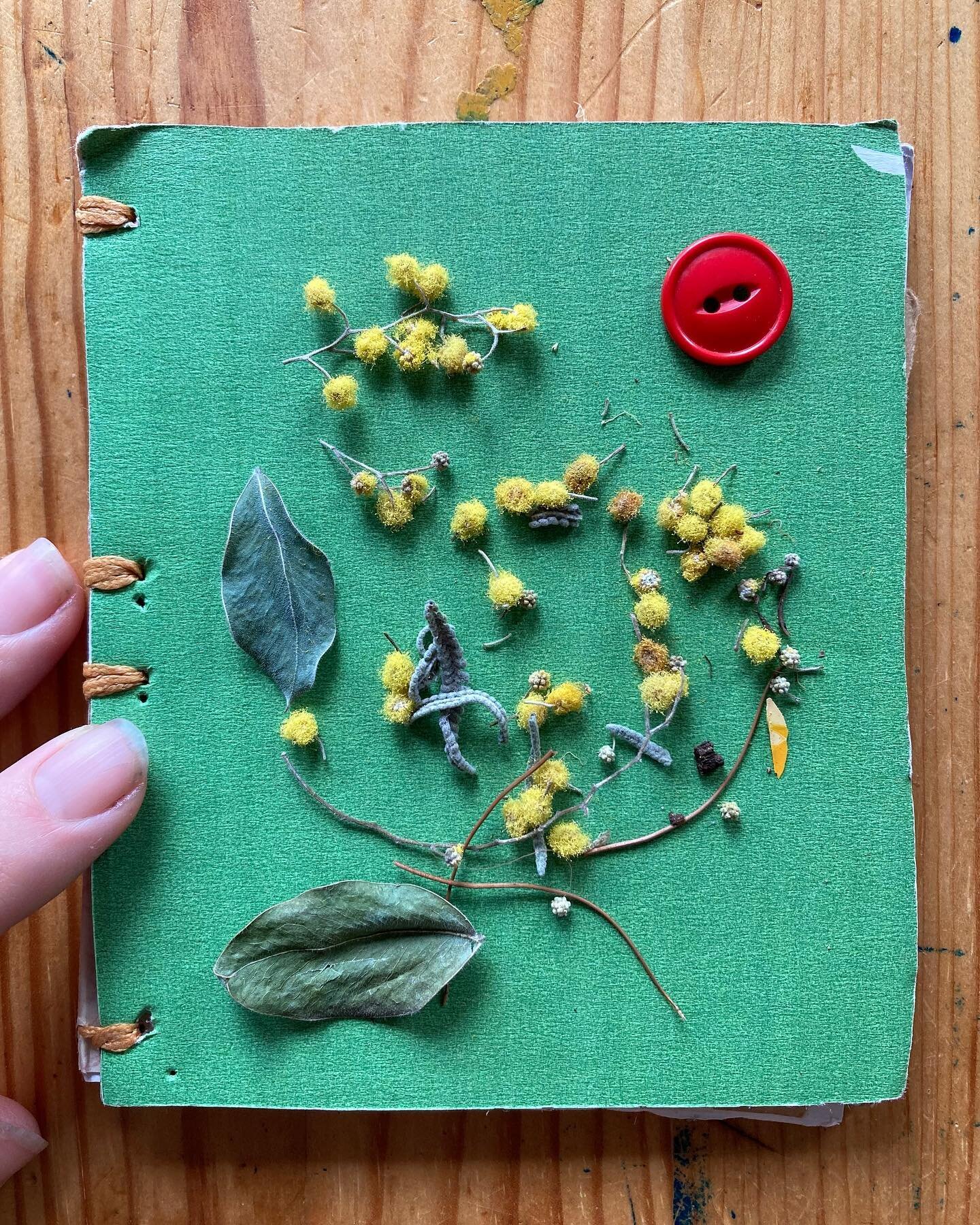 A small gathering 🍂

Remnants of a dried wattle sprig, a red  antique button gathered on a green handmade book, touched by my presence, captured for a moment in time. 

#ephemeralart #arttherapylife #presence #creativearttherapy #acacia #wattle #aca