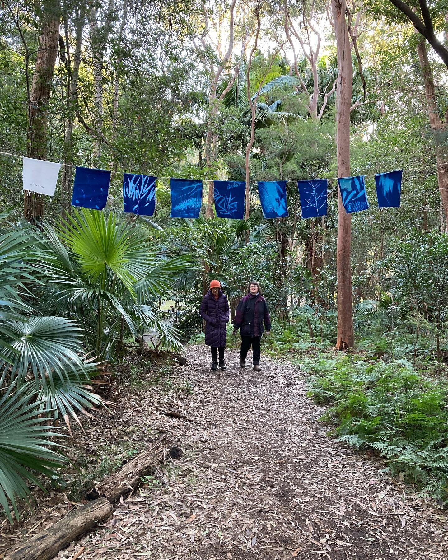 Our community cyanotype installation is still intact and available to view until this Saturday as part of the Pearl Beach Ephemeral Art Trail 🕸

Most of the artworks have help up amazingly given recent floods and wild winds. 

It&rsquo;s a good scho