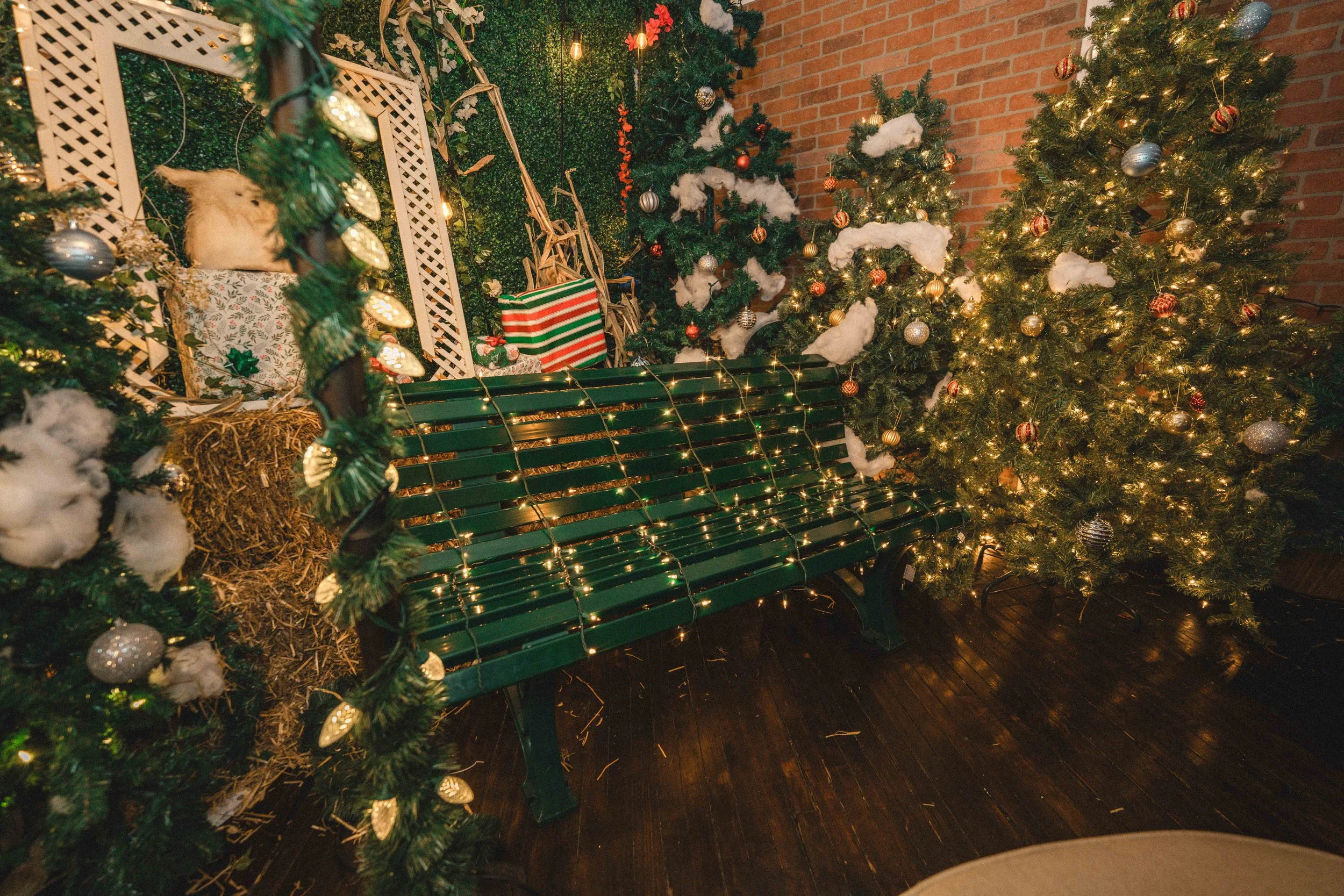 7, bench focus, -04555.jpg