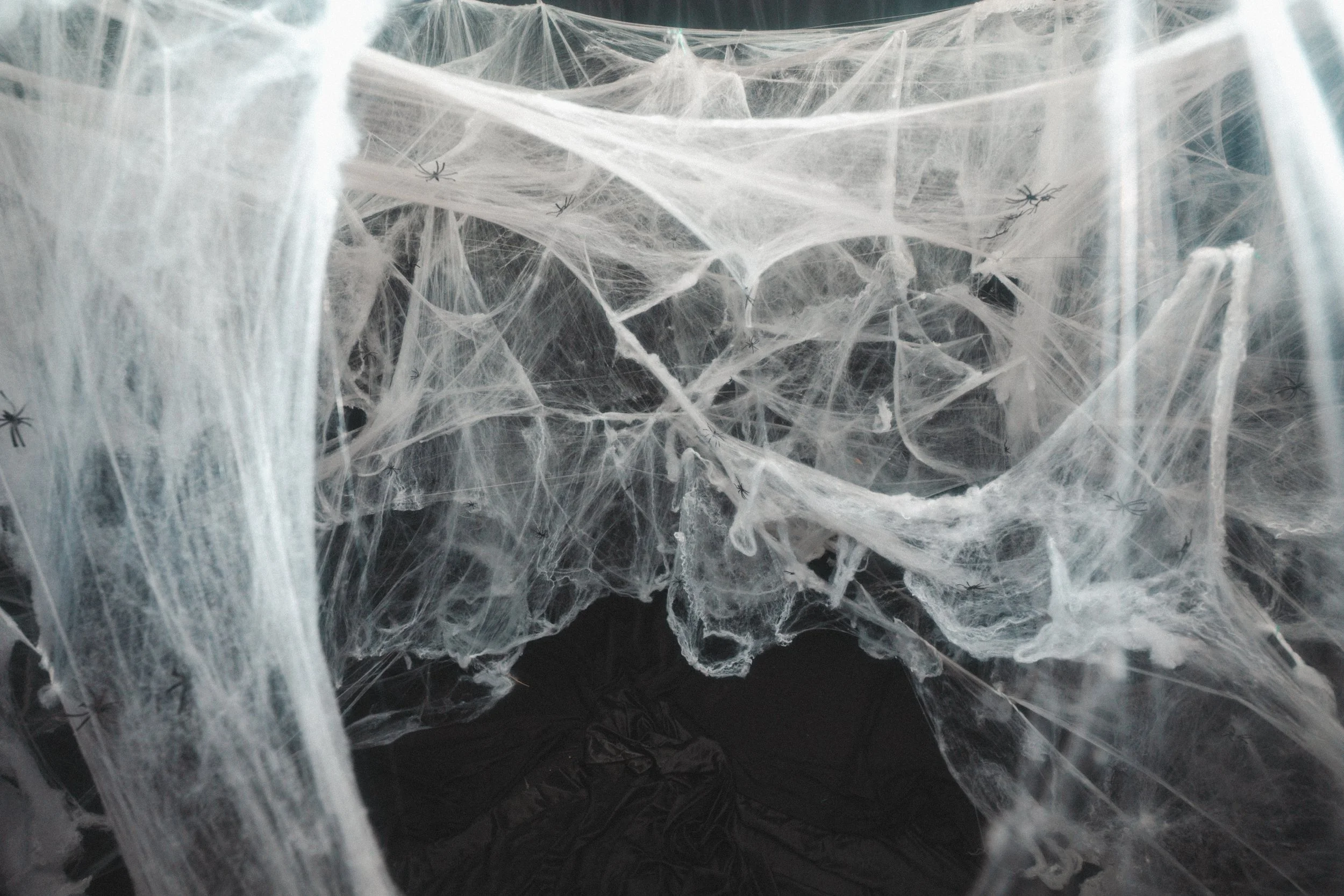 39, cob web set, -07224.jpg