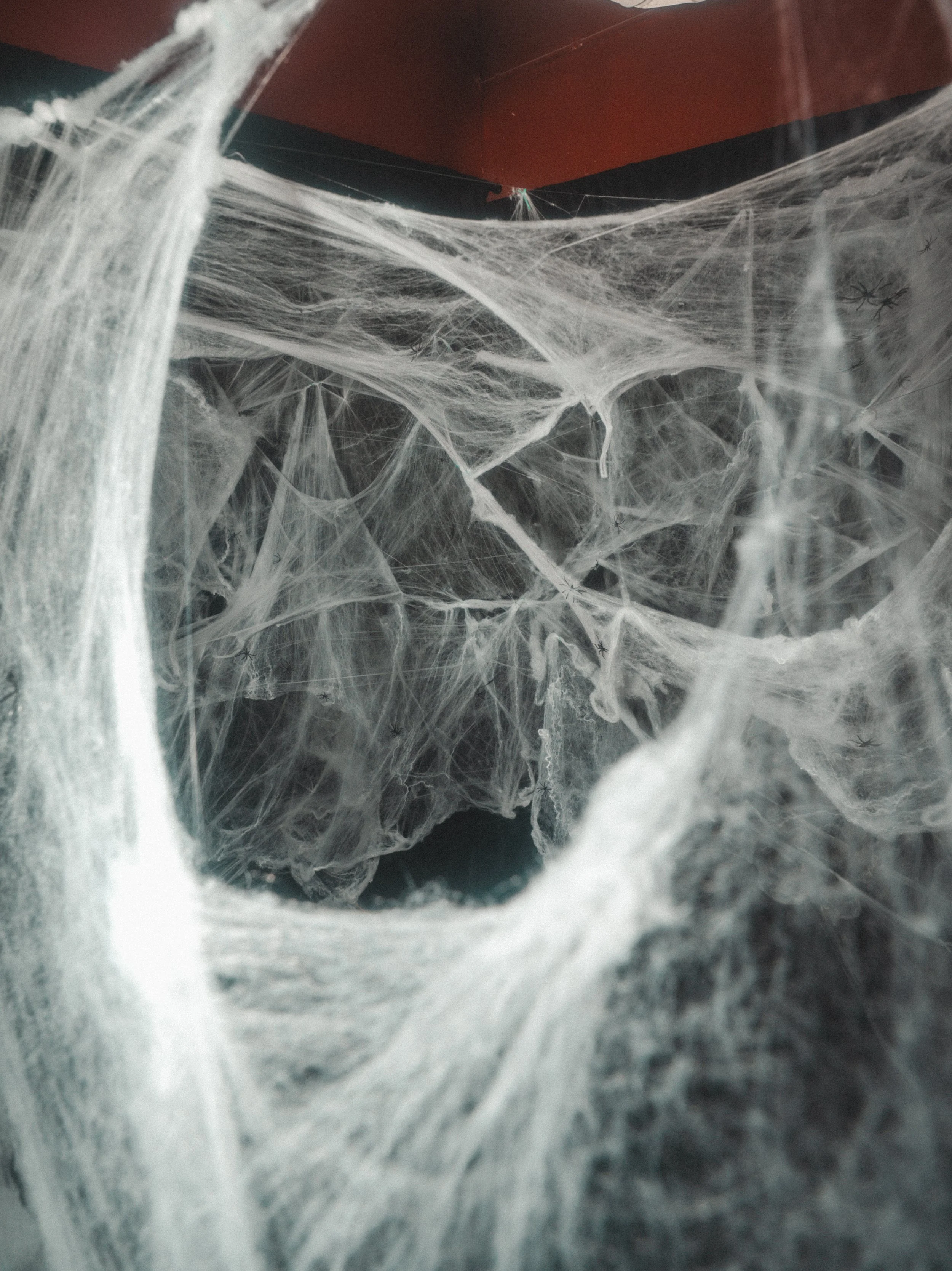 40, cob web set, -07226.jpg