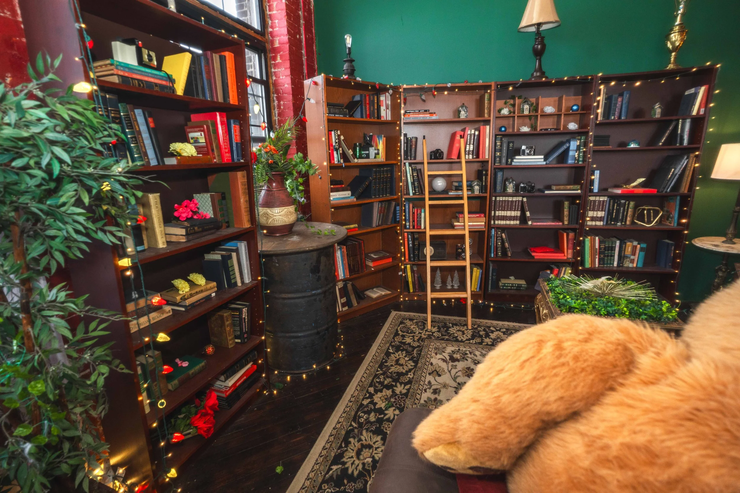 18, bookshelves, -00893.jpg