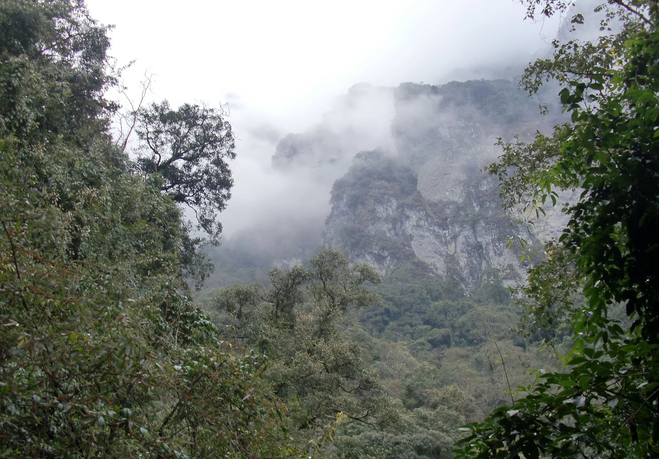YUNNAN - WULIANGSHAN NATURE RESERVE AND SURROUNDING MOUNTAINS (32).JPG