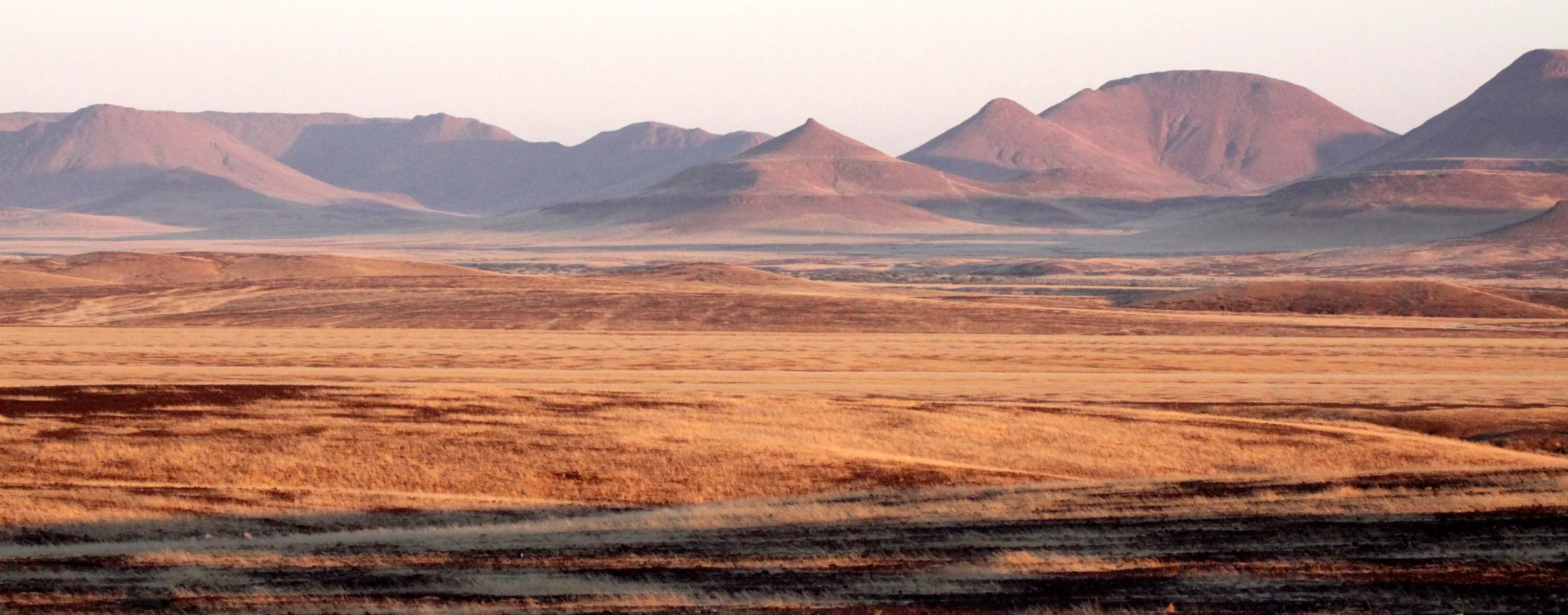 NAMIBIA - SKELETON COAST NATIONAL PARK - EAST ENTRANCE (21).JPG