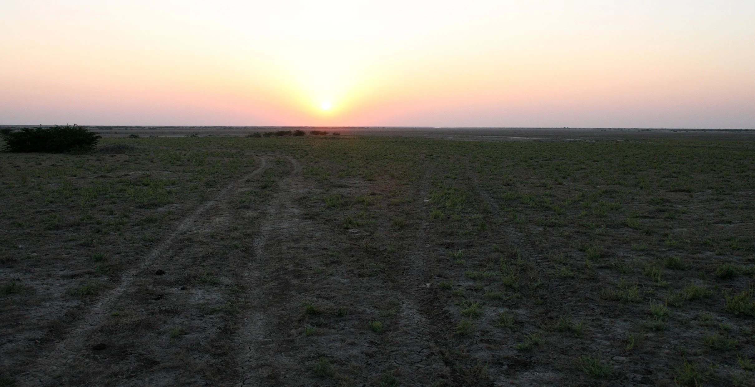 GUJARAT - KUTCH - LITTLE RANN OF KUTCH INDIA (46).JPG