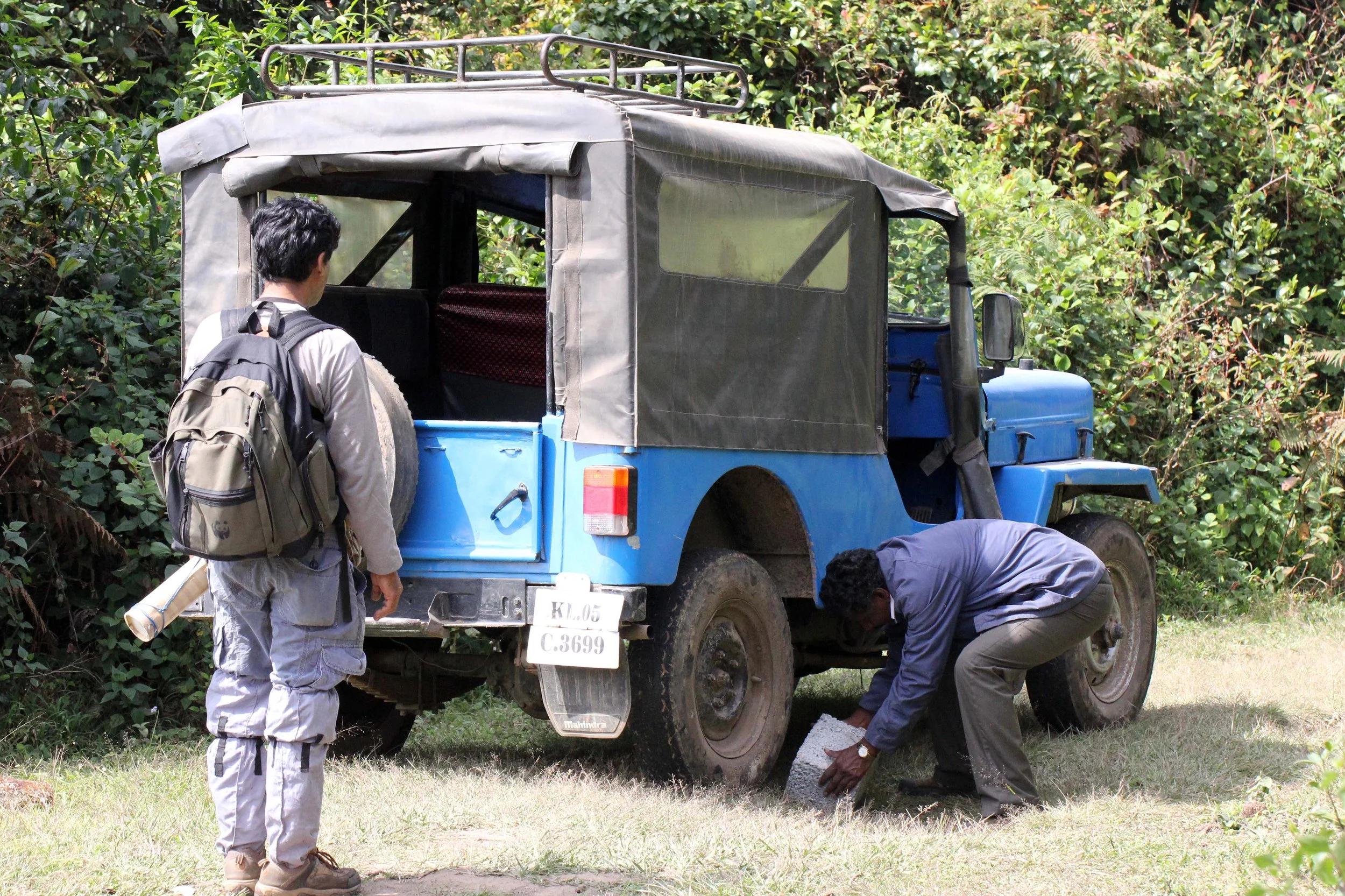 PAMPADUM SHOLA NATIONAL PARK - KERALA INDIA - PHOTO BY SOM SMITH (122).JPG