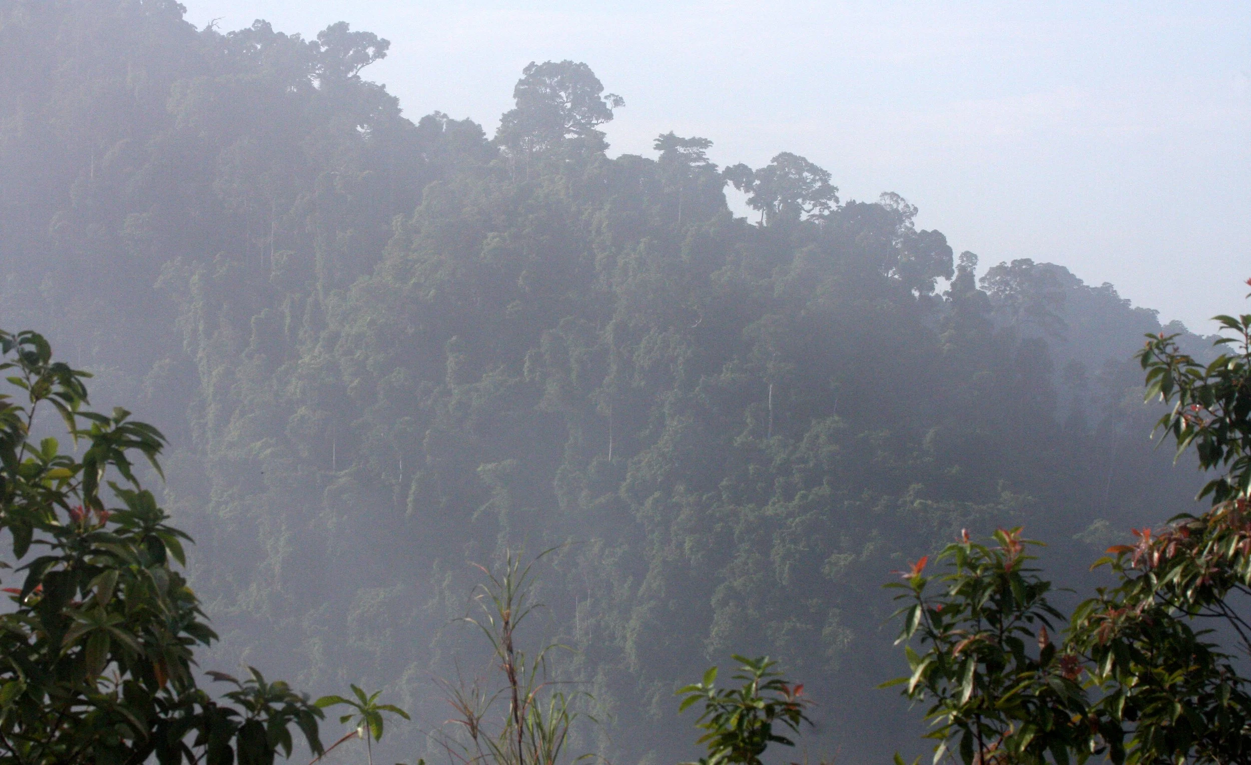 KRUNG CHIN NP - THALE MOG VIEW POINT THAILAND (16).JPG