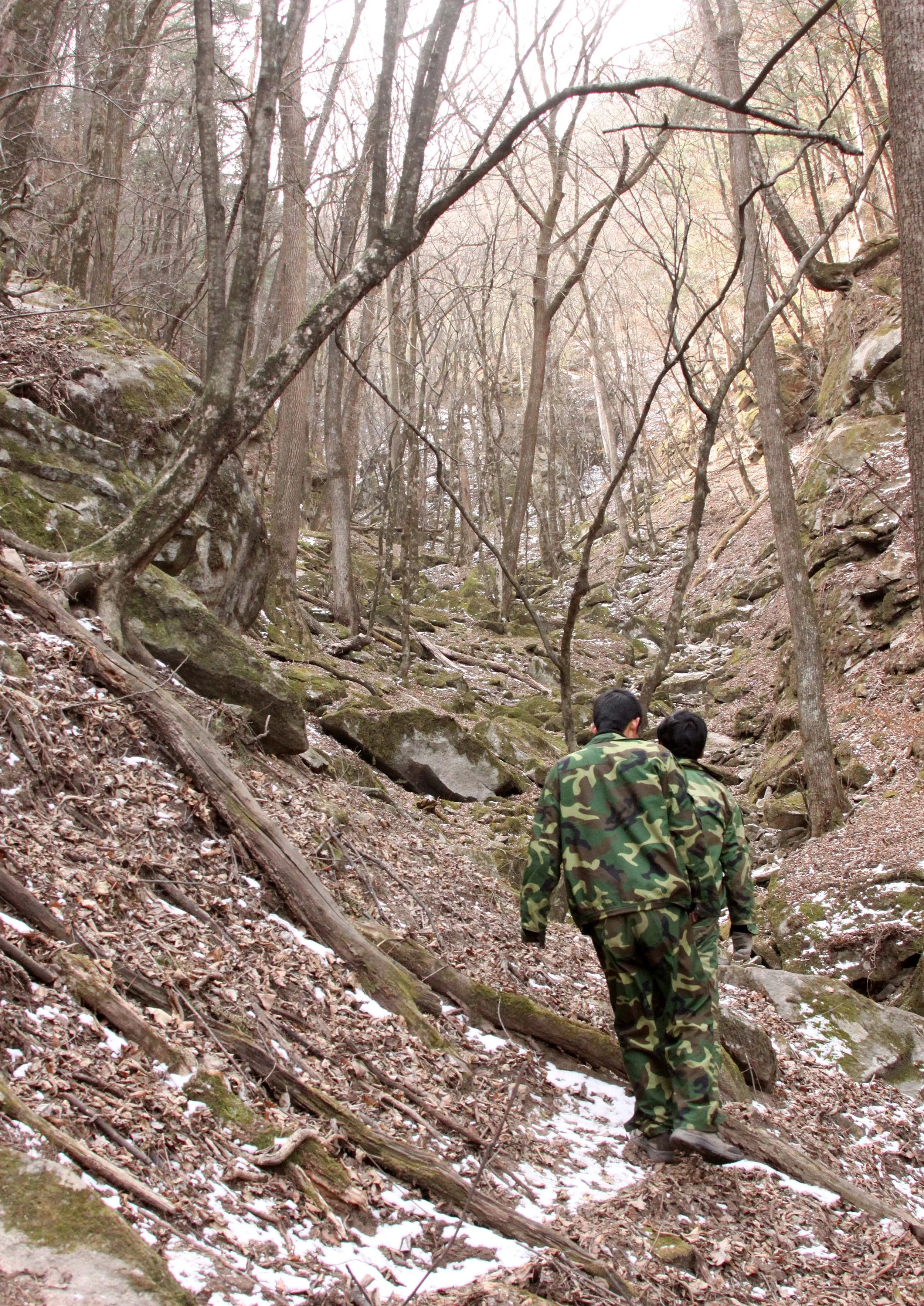 FOPING NATURE RESERVE - SHAANXI PROVINCE CHINA (219).JPG