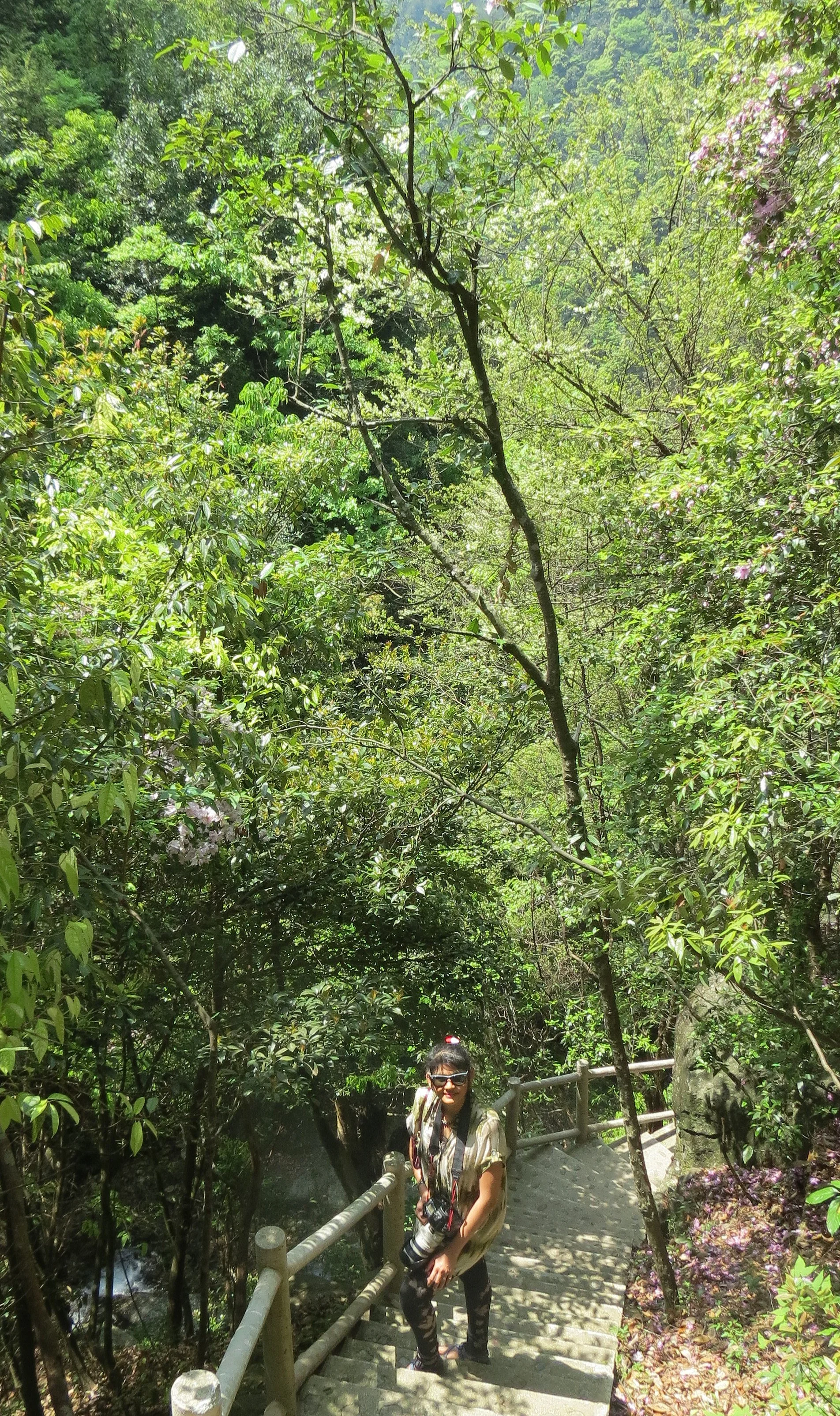 MONKEY VALLEY - FUXI VILLAGE NEAR HUANGSHAN CHINA (60).JPG