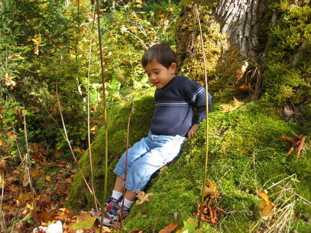 2005-10-22 WALK IN TO OLYMPIC RAINFOREST (3).JPG