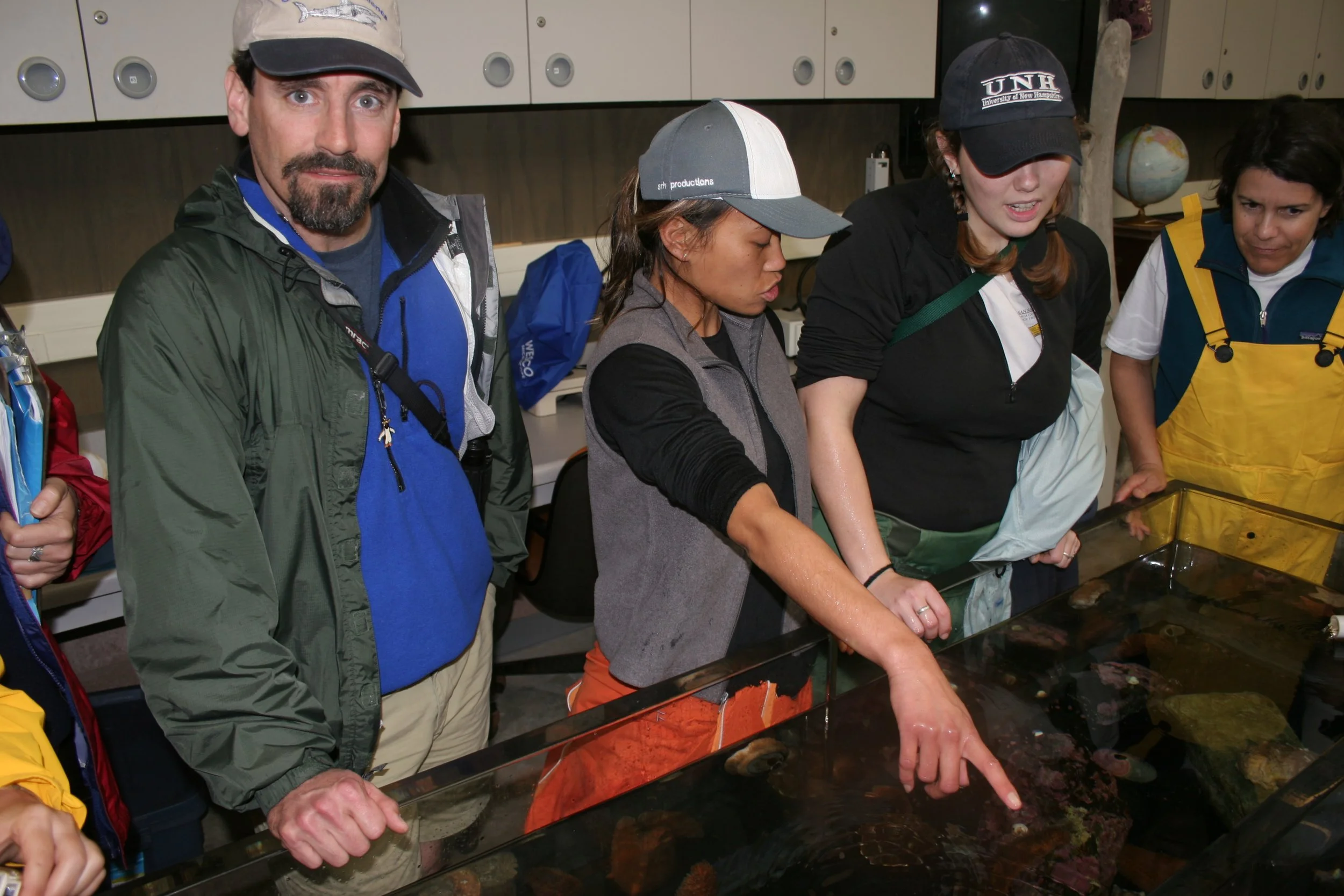 CALIFORNIA - CHANNEL ISLANDS NP - ANACAPA ISLAND - LIMPETS RESEARCH TRIP (29).jpg