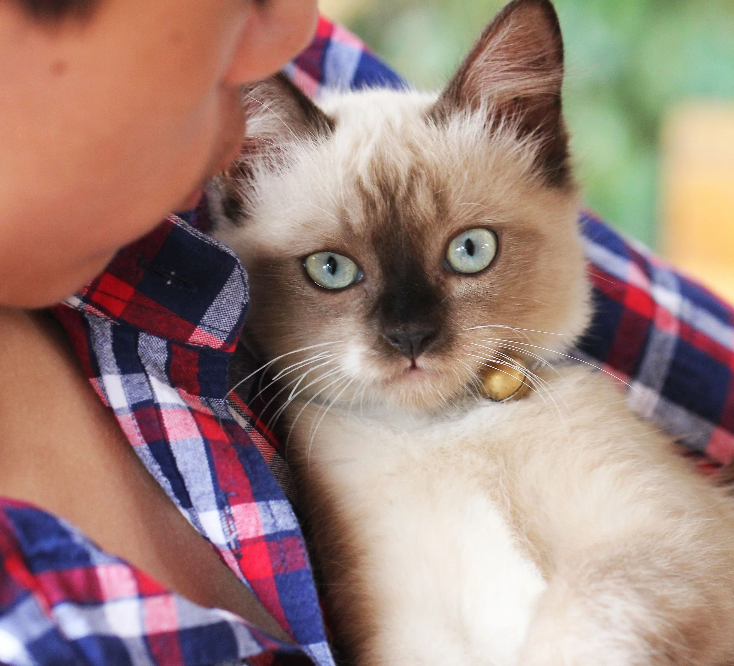 2015 Koh Lanta October Break Trip  (150).JPG