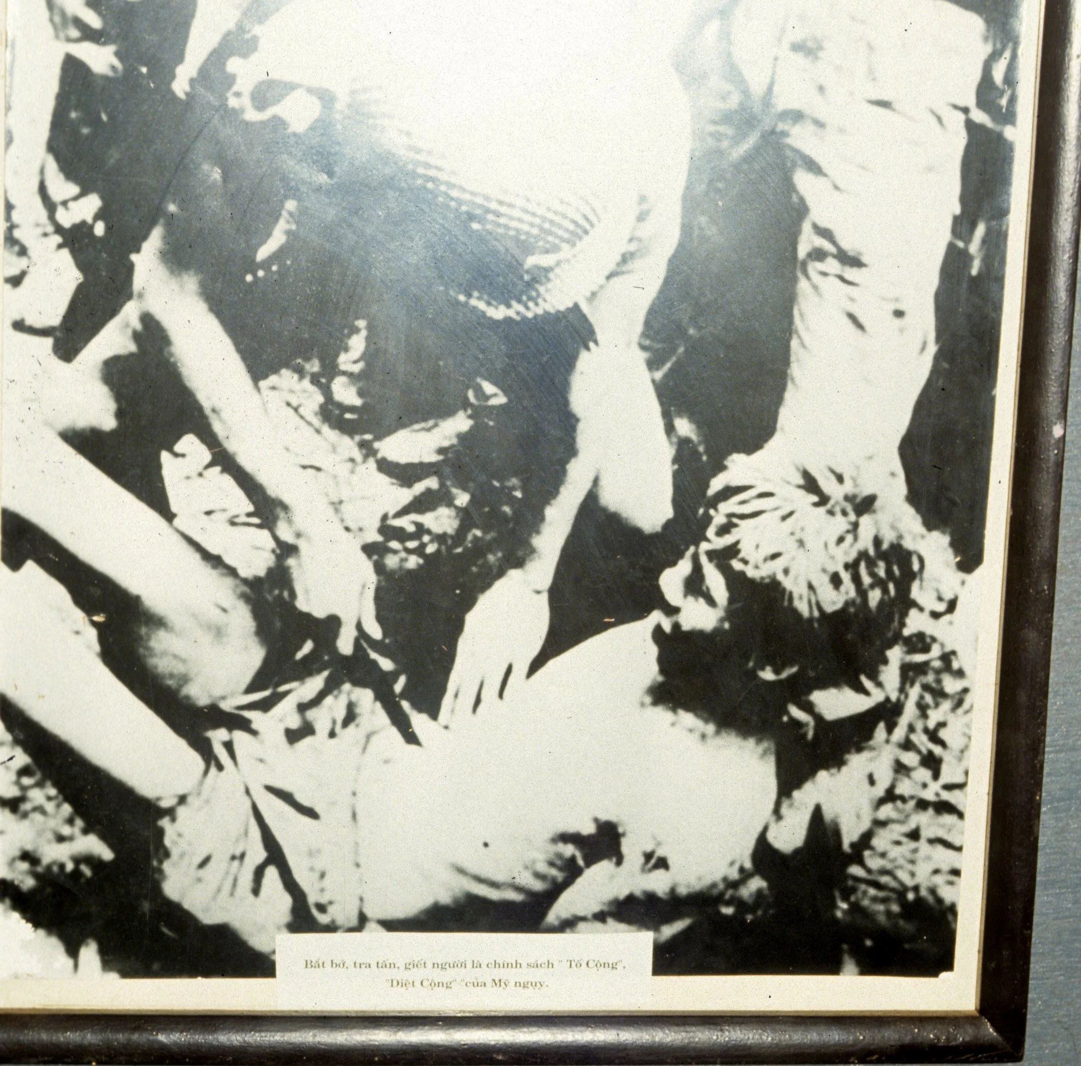 MY LAI MASSACRE SITE (4).jpg