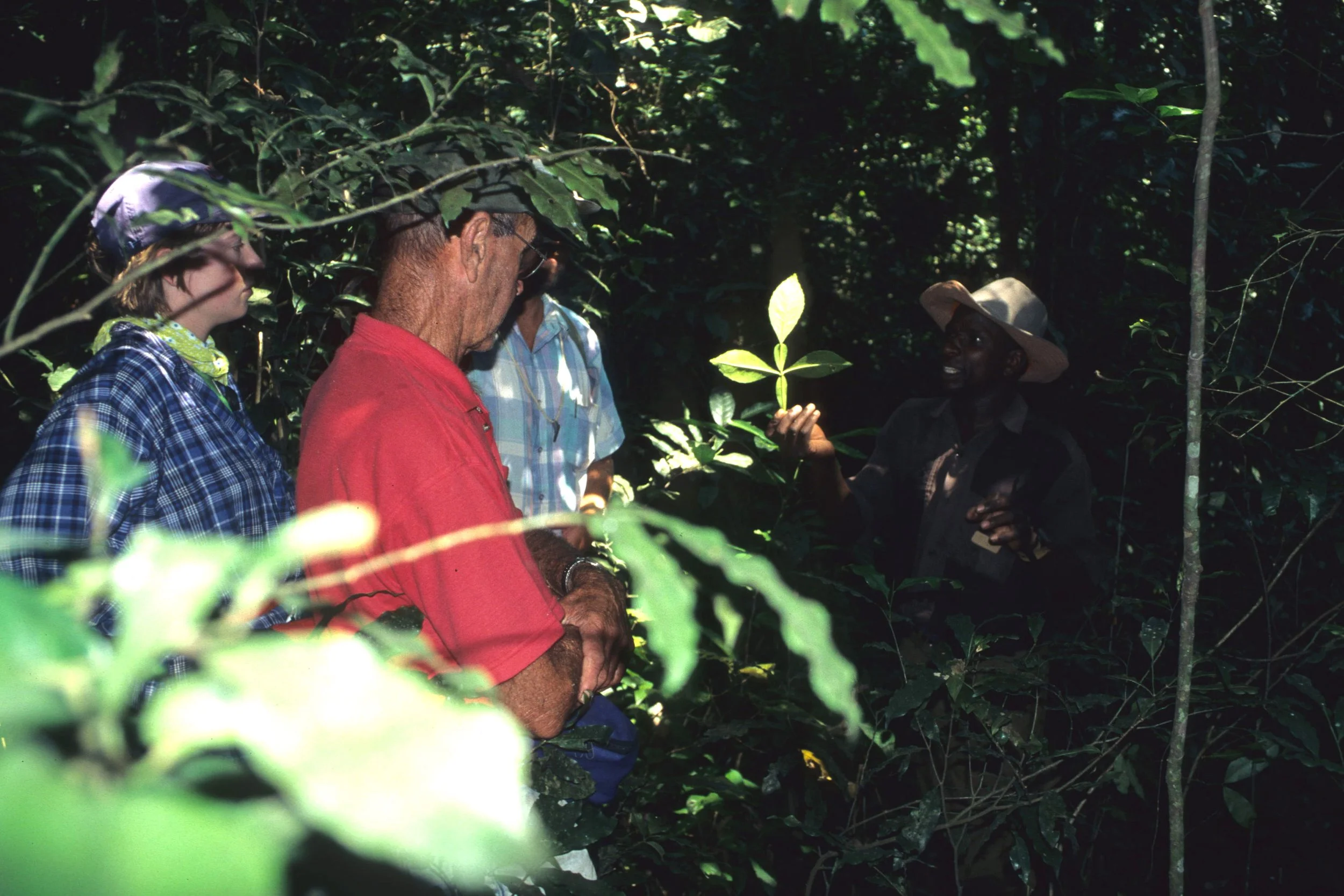 PRIMATE - CHIMP -PHARMACY -  UGANDA 2.jpg