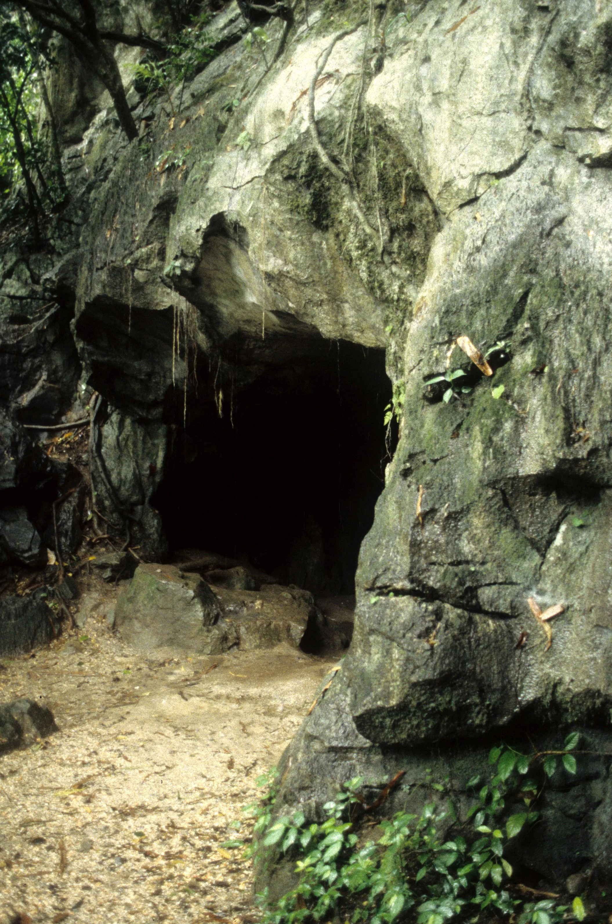 CUC PHUONG NP - HOME ERECTUS FOSSIL CAVE.jpg