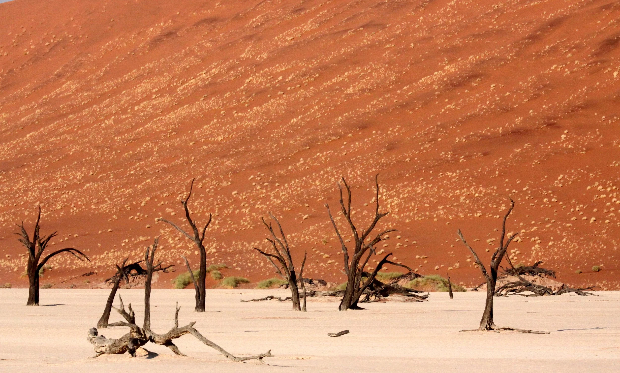 SOSSUSVLEI, NAMIB NAUKLUFT NATIONAL PARK, NAMIBIA - DEAD VLEI (29).JPG