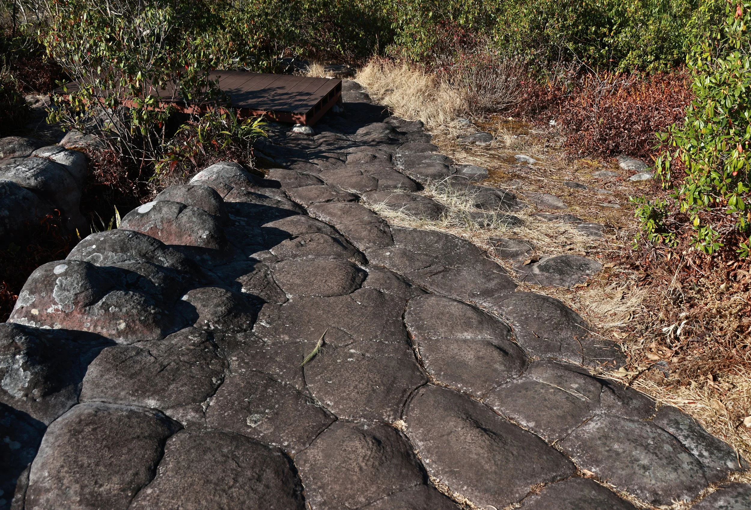 Phu Hin Rong Kla National Park Loei Province (72).jpg