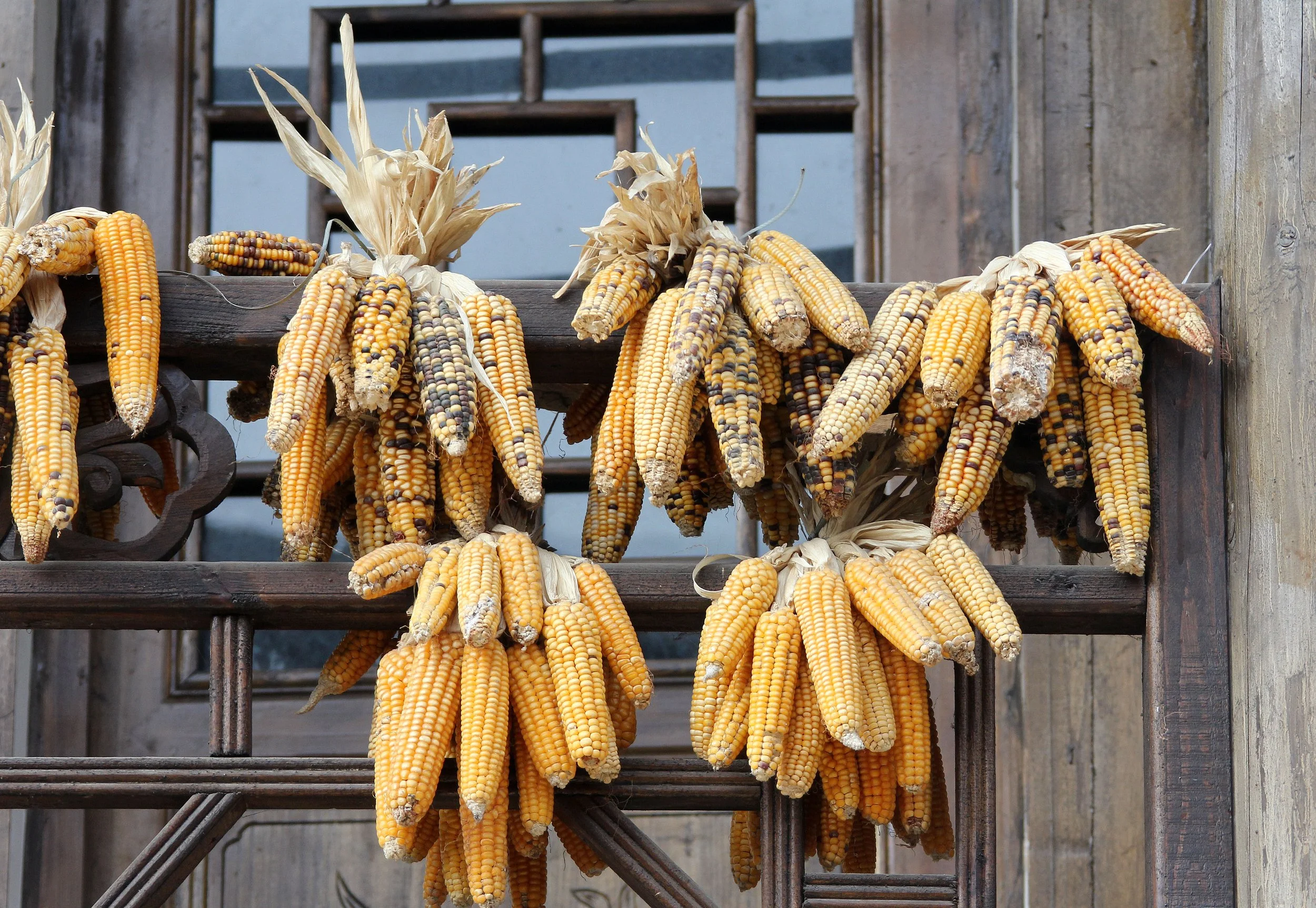 SHANGLI ANCIENT TOWN - SICHUAN CHINA (15).JPG