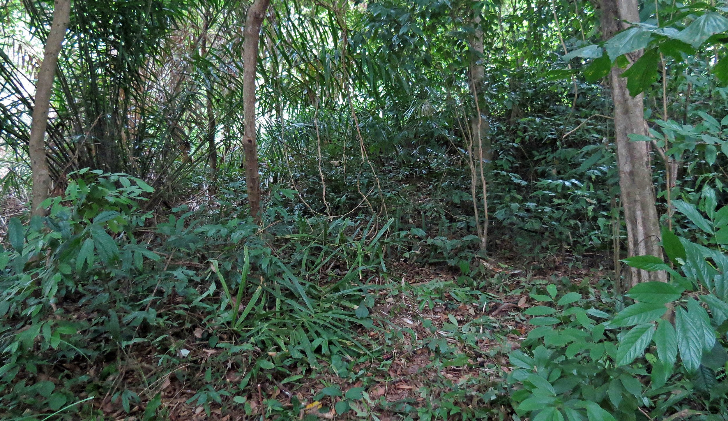 2014 Koh Lanta Build (135).JPG