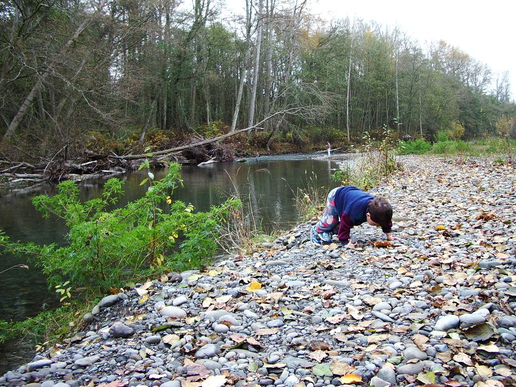 2004-11-18 HIKE WITH COKIE IN THE FOREST.JPG