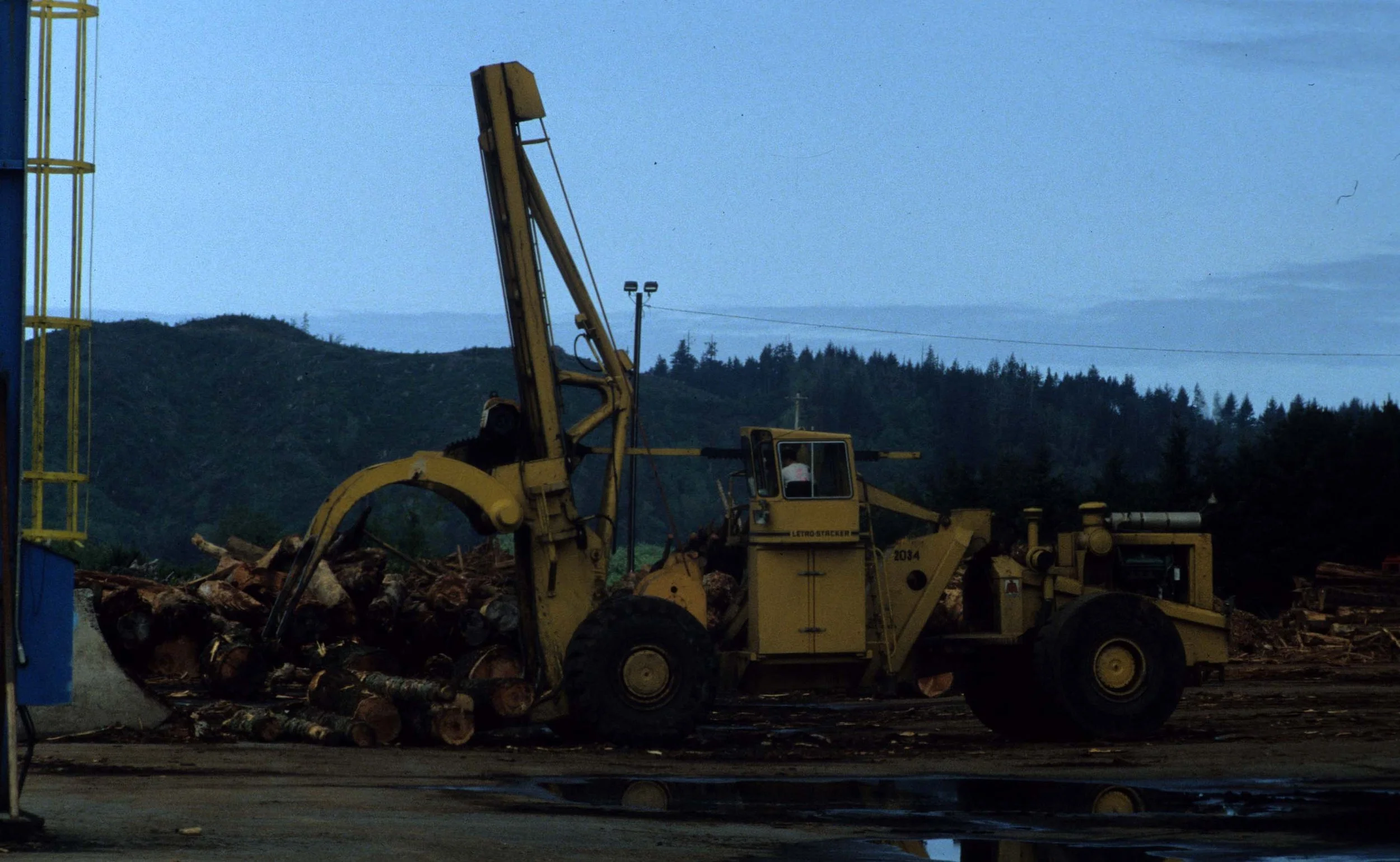 CALIFORNIA - REDWOODS NP - LOGGIN PRACTICES B.jpg