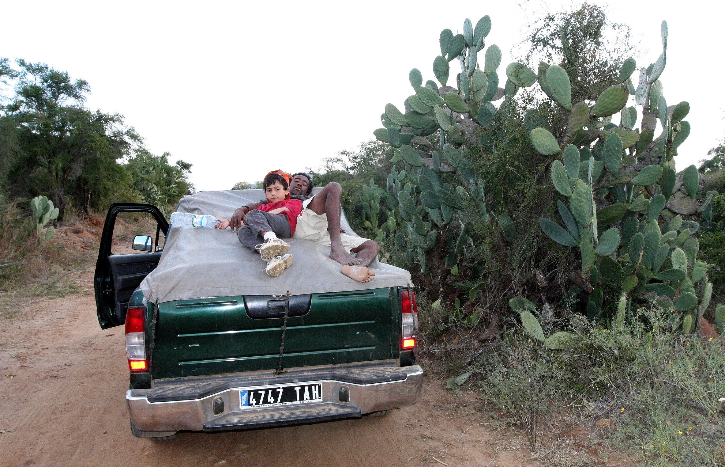 ANDOHAHELA NATIONAL PARK MADGASCAR - HANGING ON THE ROAD.JPG