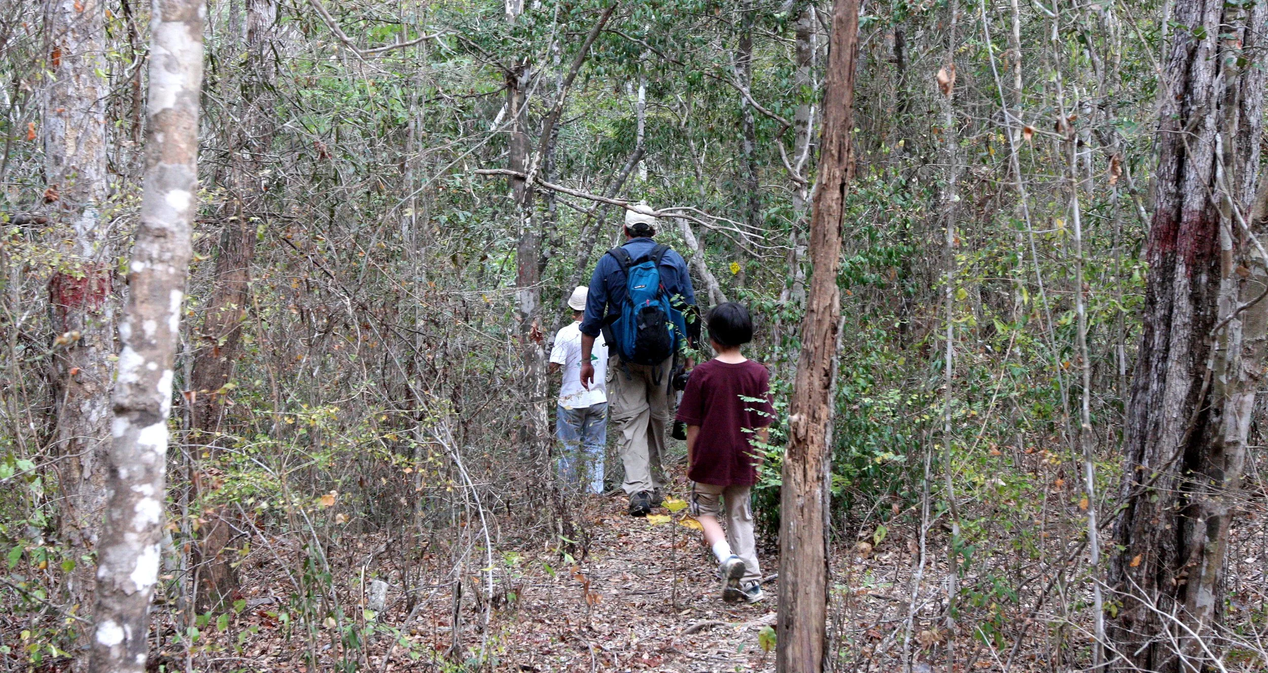 KIRINDY NATIONAL PARK MADAGASCAR - TREKKING THE FOREST (7).JPG