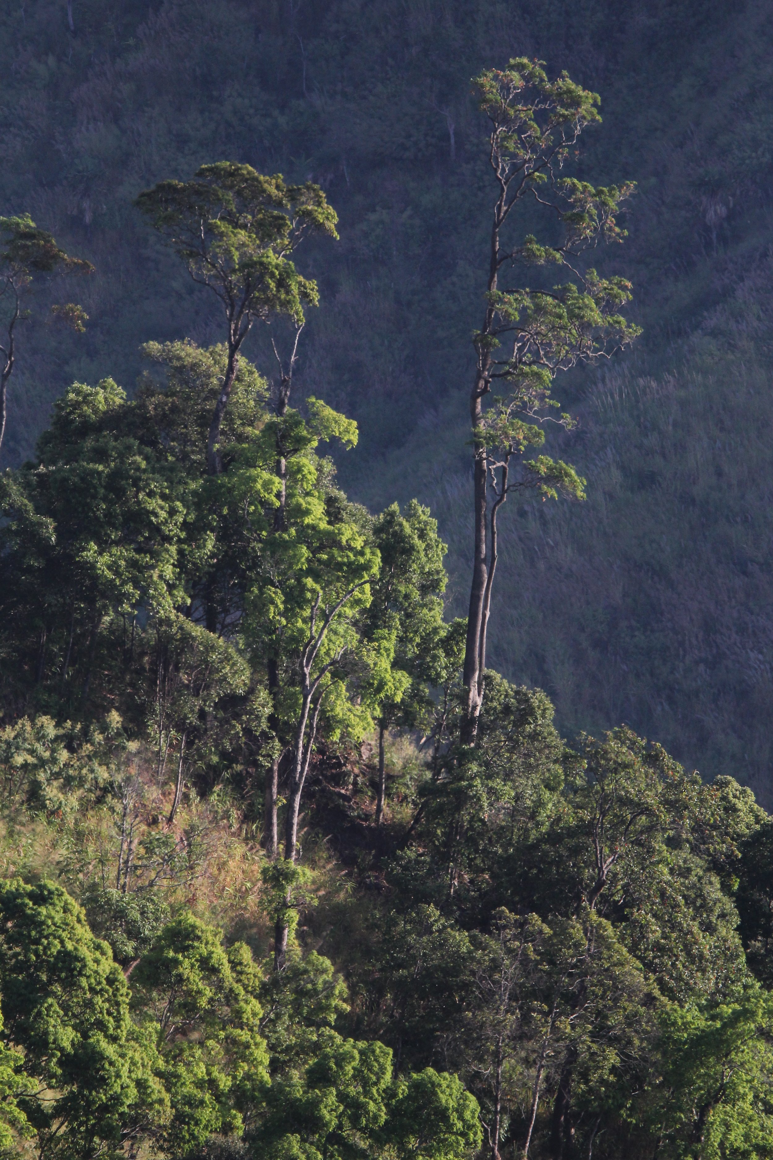 CHONG YEN CAMPSITE, MAE WONG NATIONAL PARK F.JPG