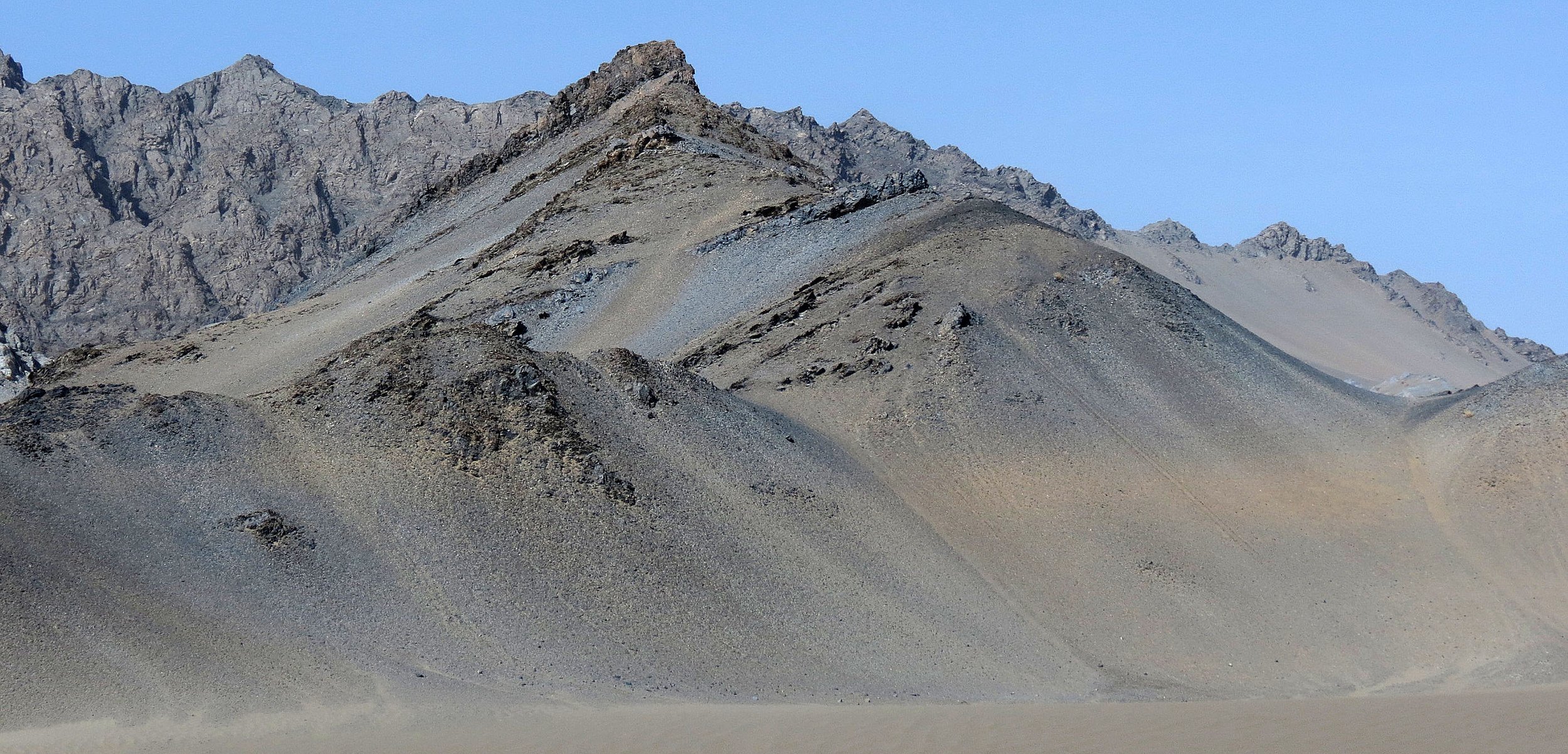LOP NUR WILD BACTRIAN CAMEL RESERVE - XINJIANG CHINA (32).JPG