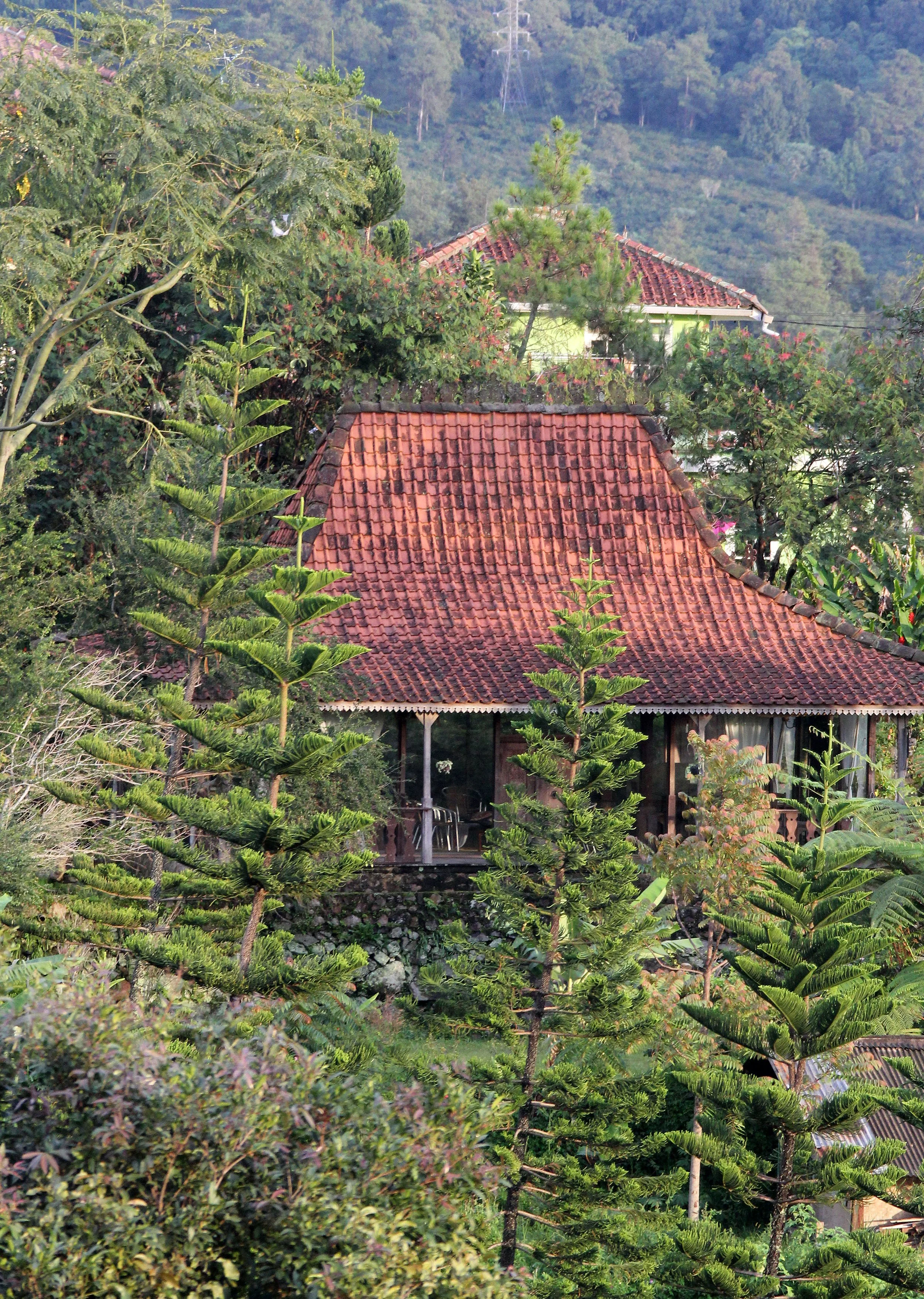 BOGOR - GEDE NATIONAL PARK - JAVA BARA, INDONESIA (4).JPG