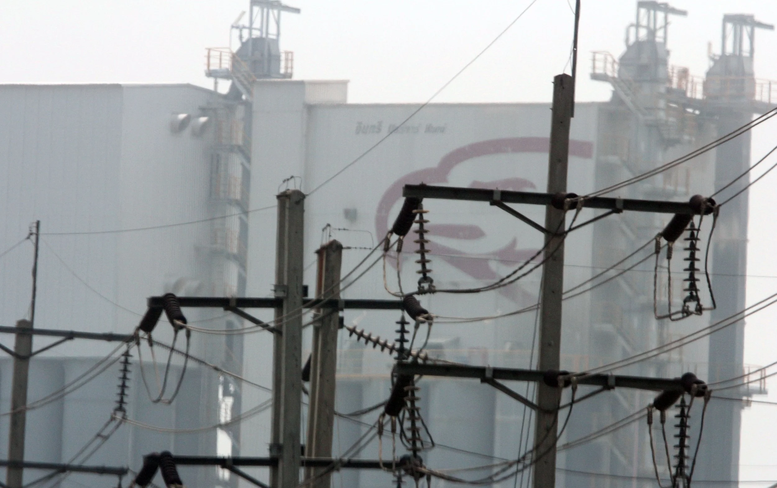 2015 KHAO YAI NATIONAL PARK THAILAND - GARDEN LIZARD SPECIES (357).JPG