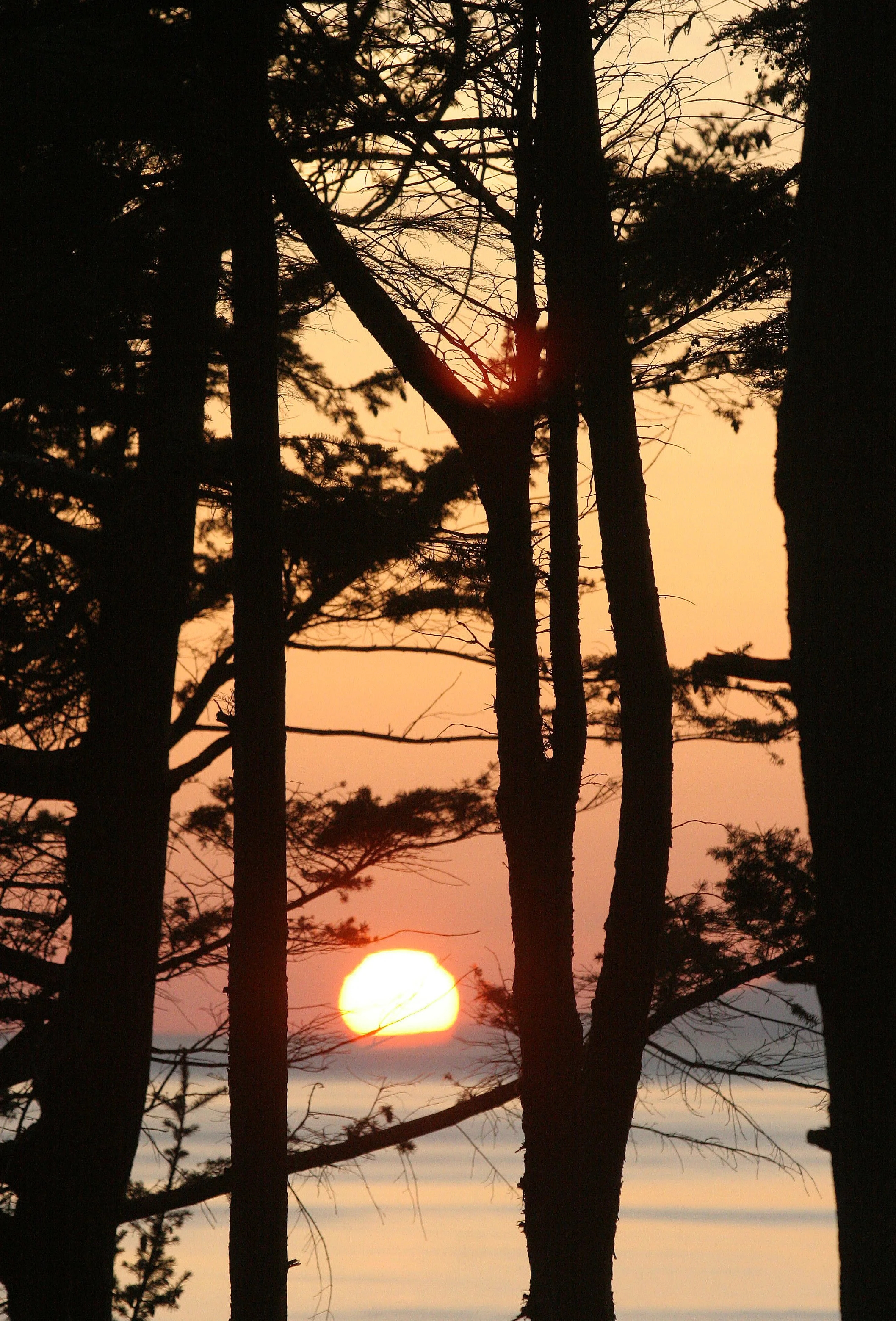 LAKE FARM SUNSET VIEWS  (11).JPG