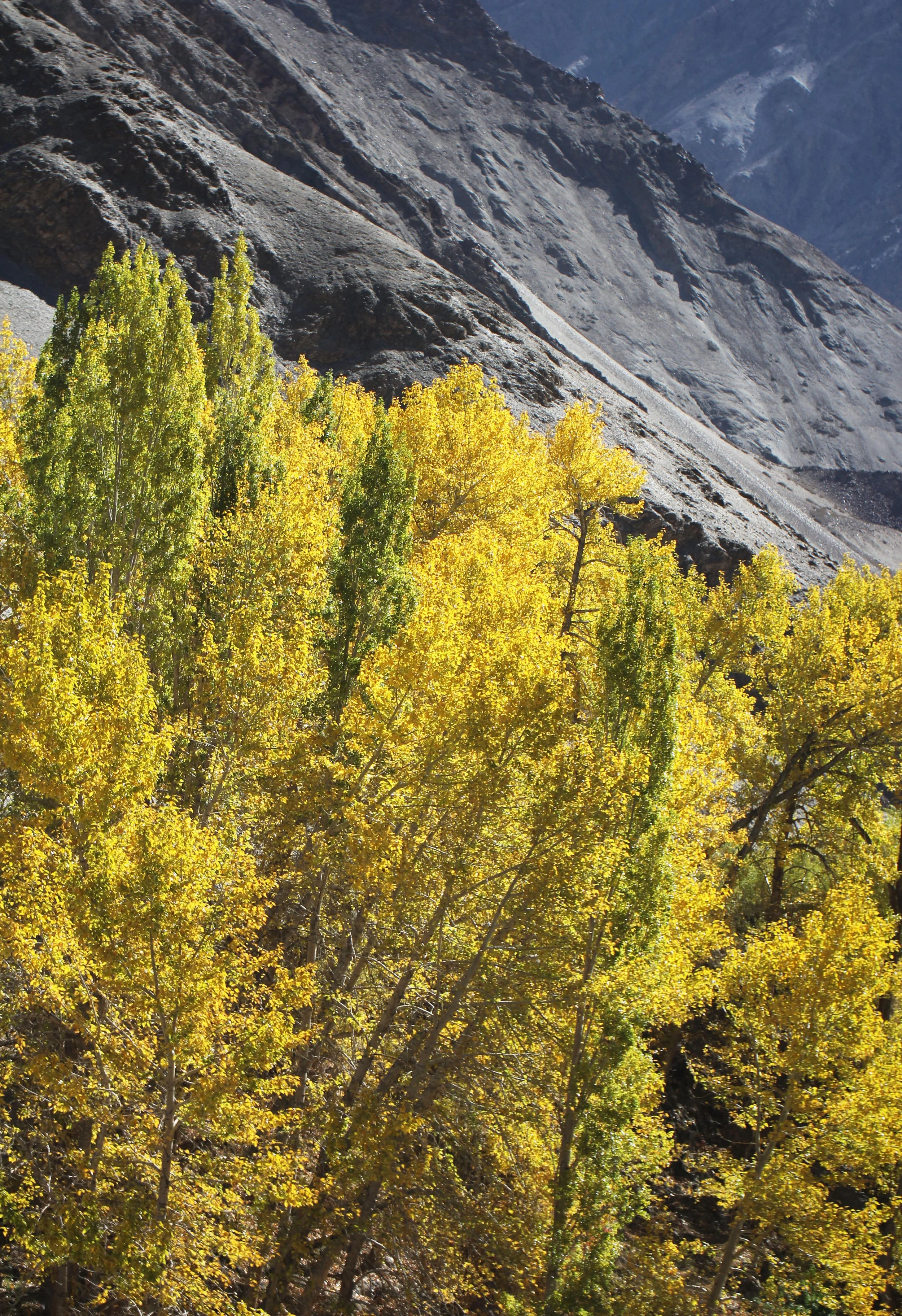 HEMIS NATIONAL PARK - LADAKH INDIA - JAMMU & KASHMIR NEAR RUMBAK VILLAGE (9).JPG