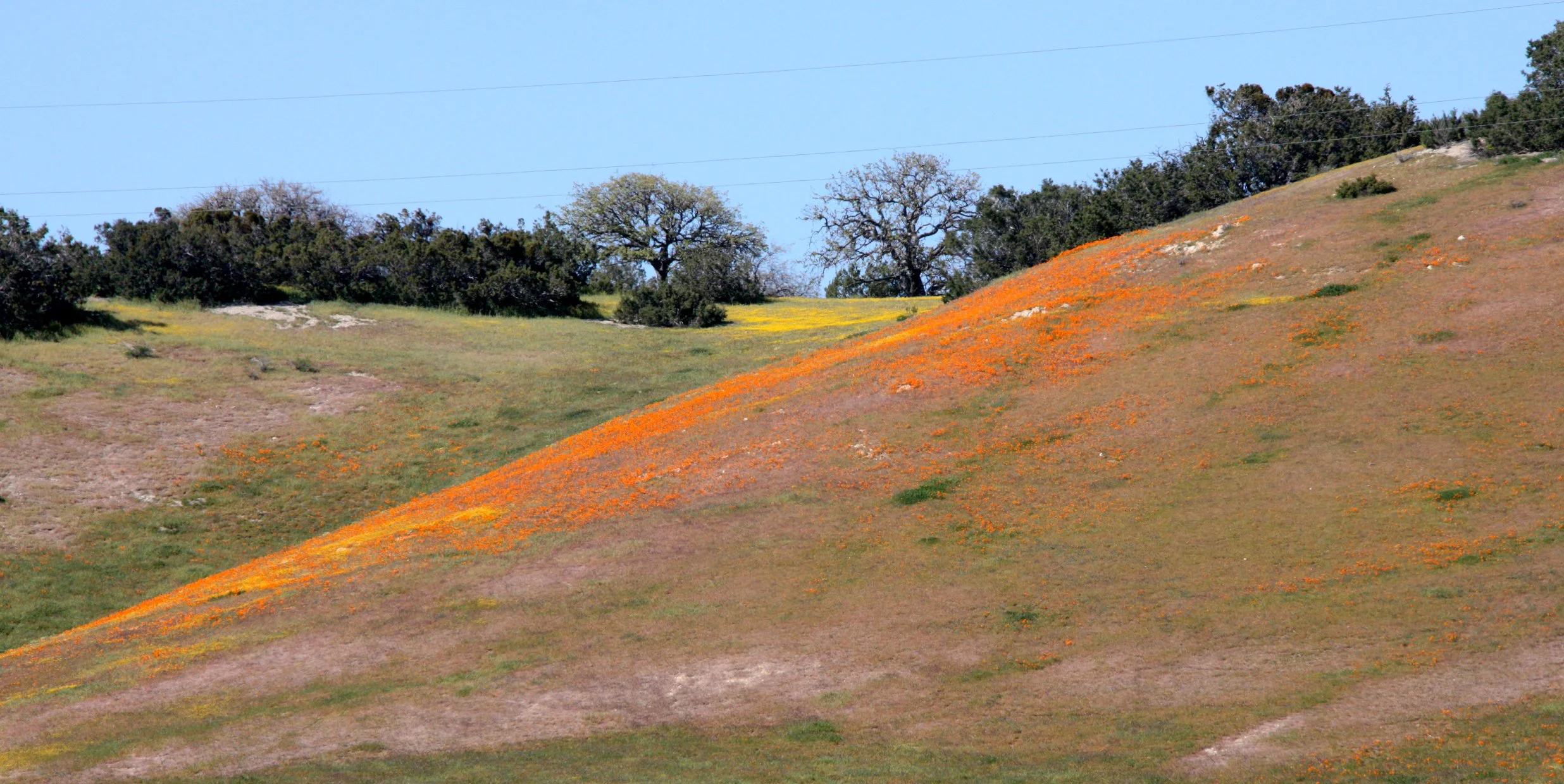 CARRIZO PLAIN NATIONAL MONUMENT - VIEWS OF THE REGION - ROADTRIP 2010 (105).JPG